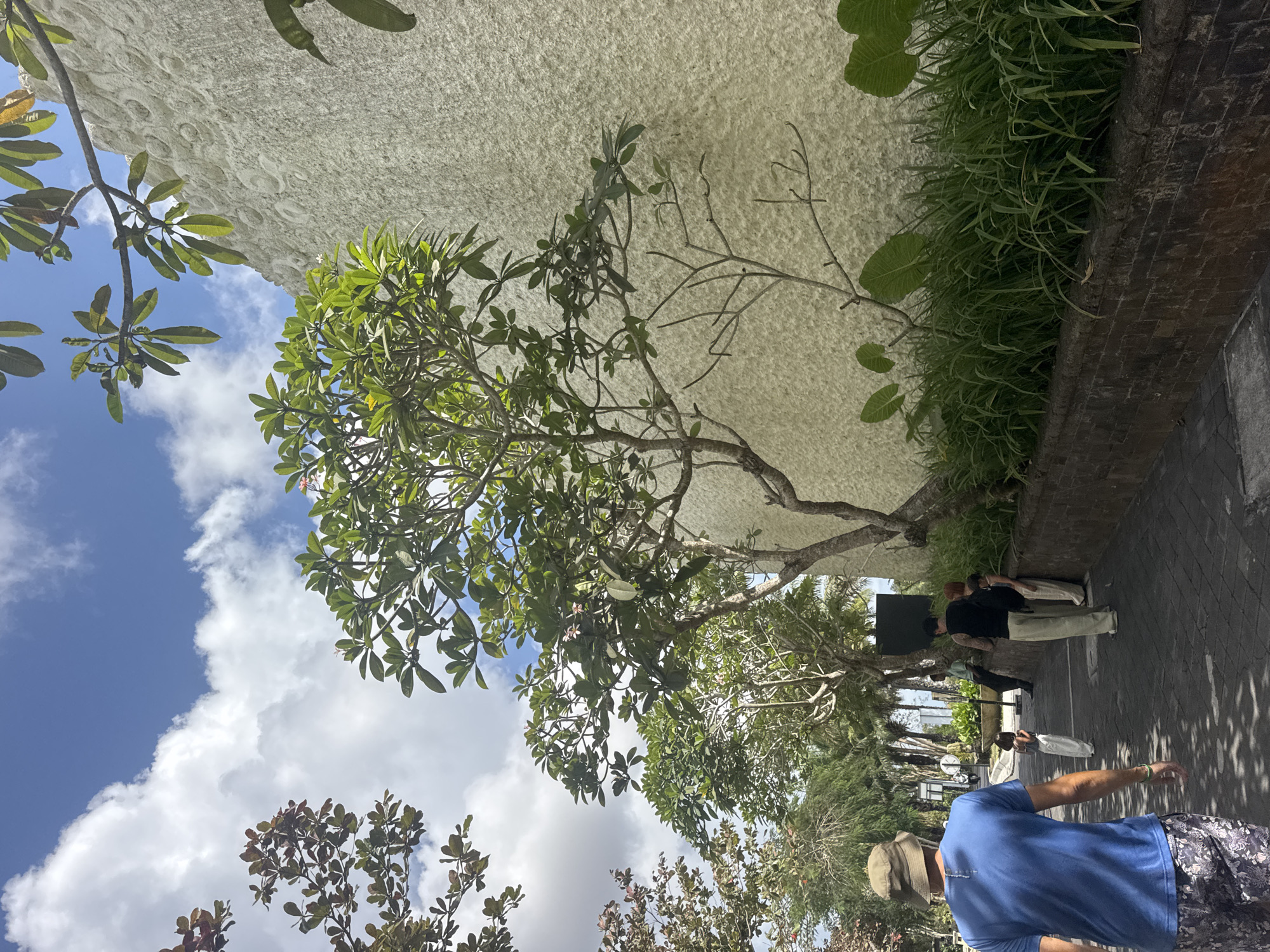 In Kuta Selatan, Indonesia, a man wearing a blue t-shirt and a patterned pair of shorts walks away from the camera on a paved walkway. He is wearing a hat. To his right, a textured, pale wall runs along the walkway. In front of the wall, dense green grass grows. Several trees with green leaves are visible, some with bare branches. Further down the walkway, a group of people are standing. A man in a black tank top and light-colored pants stands with his back to the camera. Next to him, a woman in light-colored pants also stands. In front of them, a child in white clothing stands facing away from the camera. Another person, possibly a child, in similar white clothing is to the left of the man in the black tank top. A street vendor or attendant in a light green uniform stands near a potted plant. Trees and foliage line the left side of the walkway, creating a shaded area. The sky above is blue with scattered white clouds.