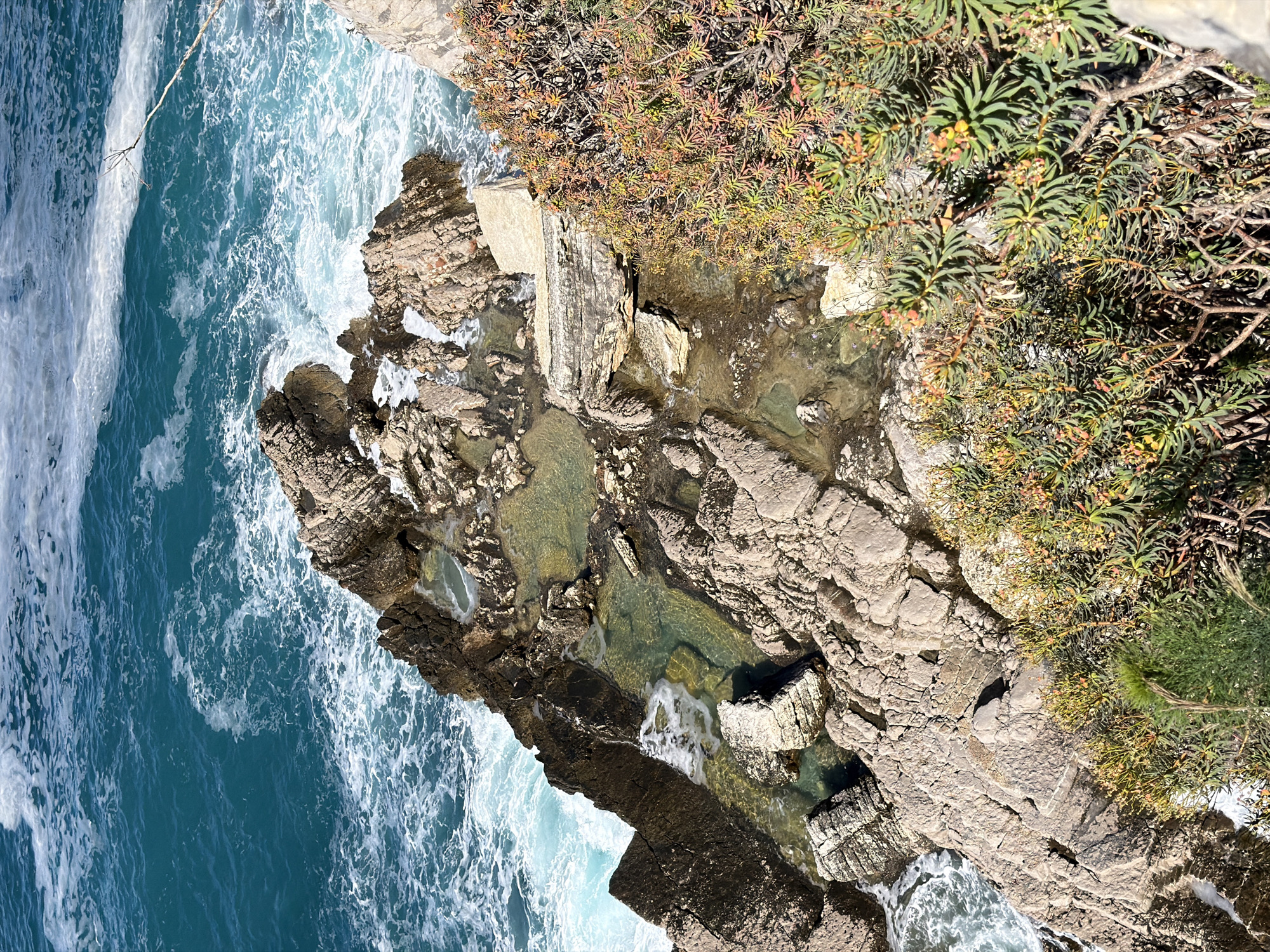 A top-down perspective reveals a rocky coastline in Mirište, Montenegro, where turquoise water crashes against jagged rocks. A variety of succulents and shrubs grow on the land. Pockets of clear water are visible in rock pools.