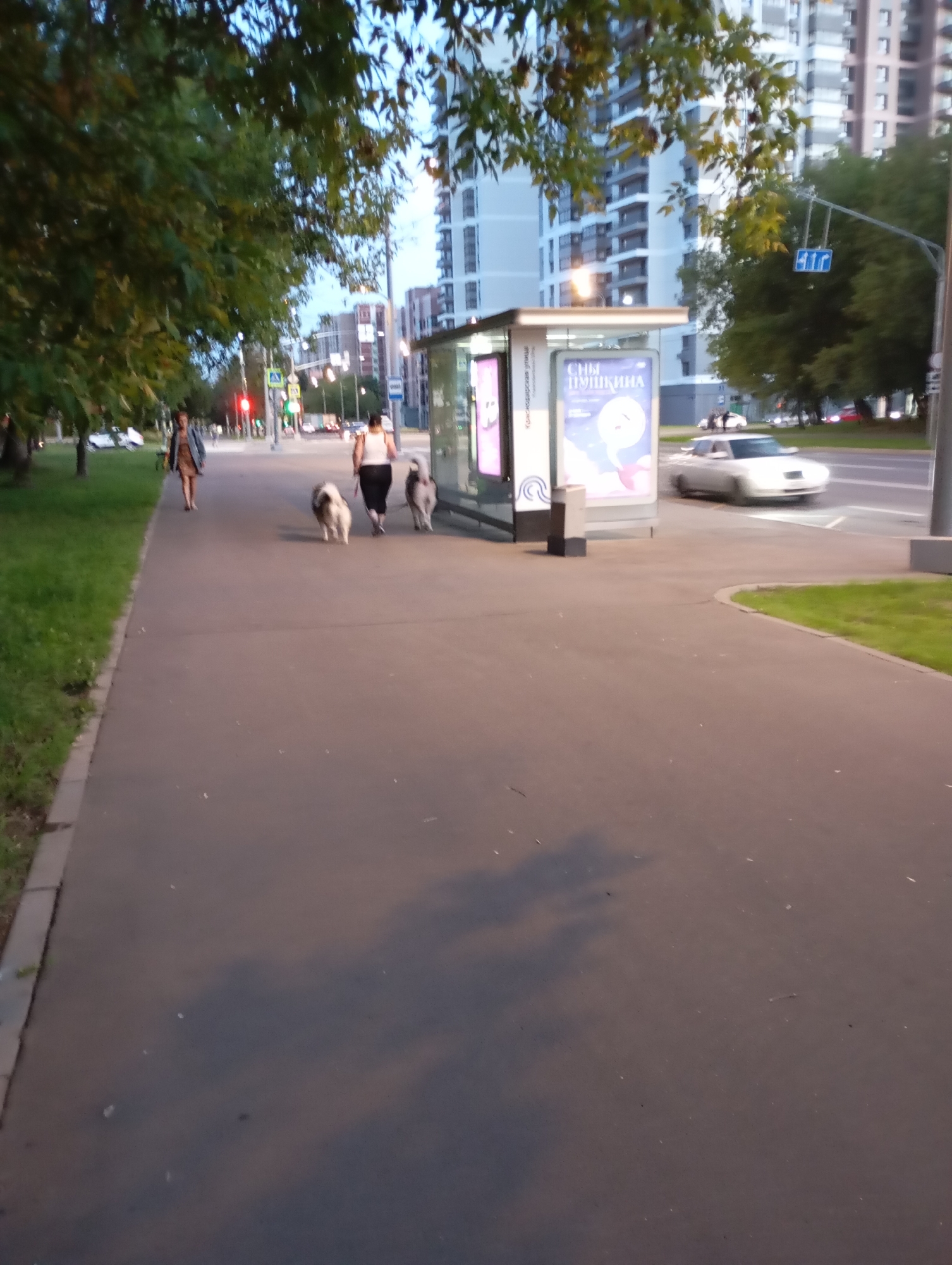 The image depicts a sidewalk scene in Moscow, Russia, likely during the evening. In the foreground, a woman is walking a dog on a leash. Behind her, another person is walking a second dog. The sidewalk is paved with asphalt. To the right of the sidewalk is a bus stop shelter with advertising displays. Beyond the bus stop is a street with a white car driving on it. In the background, tall residential buildings are visible, characteristic of Moscow's urban landscape. Trees line the left side of the sidewalk, and a grassy area is also present. A traffic light is visible in the distance, indicating an intersection. The overall atmosphere suggests a typical urban environment in Russia's capital city.