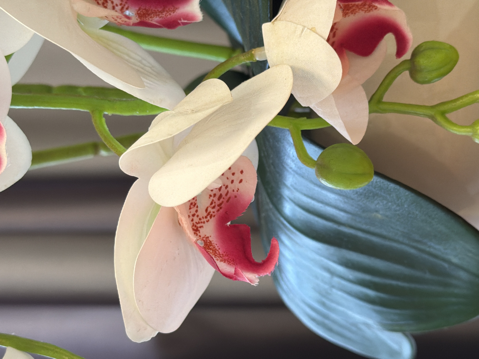 This is a close-up photograph of artificial white orchids with pink centers. The flowers are arranged on green stems. A large green leaf is visible in the foreground, partially obscuring one of the flowers. In the background, a blurred gray curtain is visible. There are no people or animals present in the image, and the setting appears to be indoors. There is no information to suggest this image is located in Kazan, Russia.