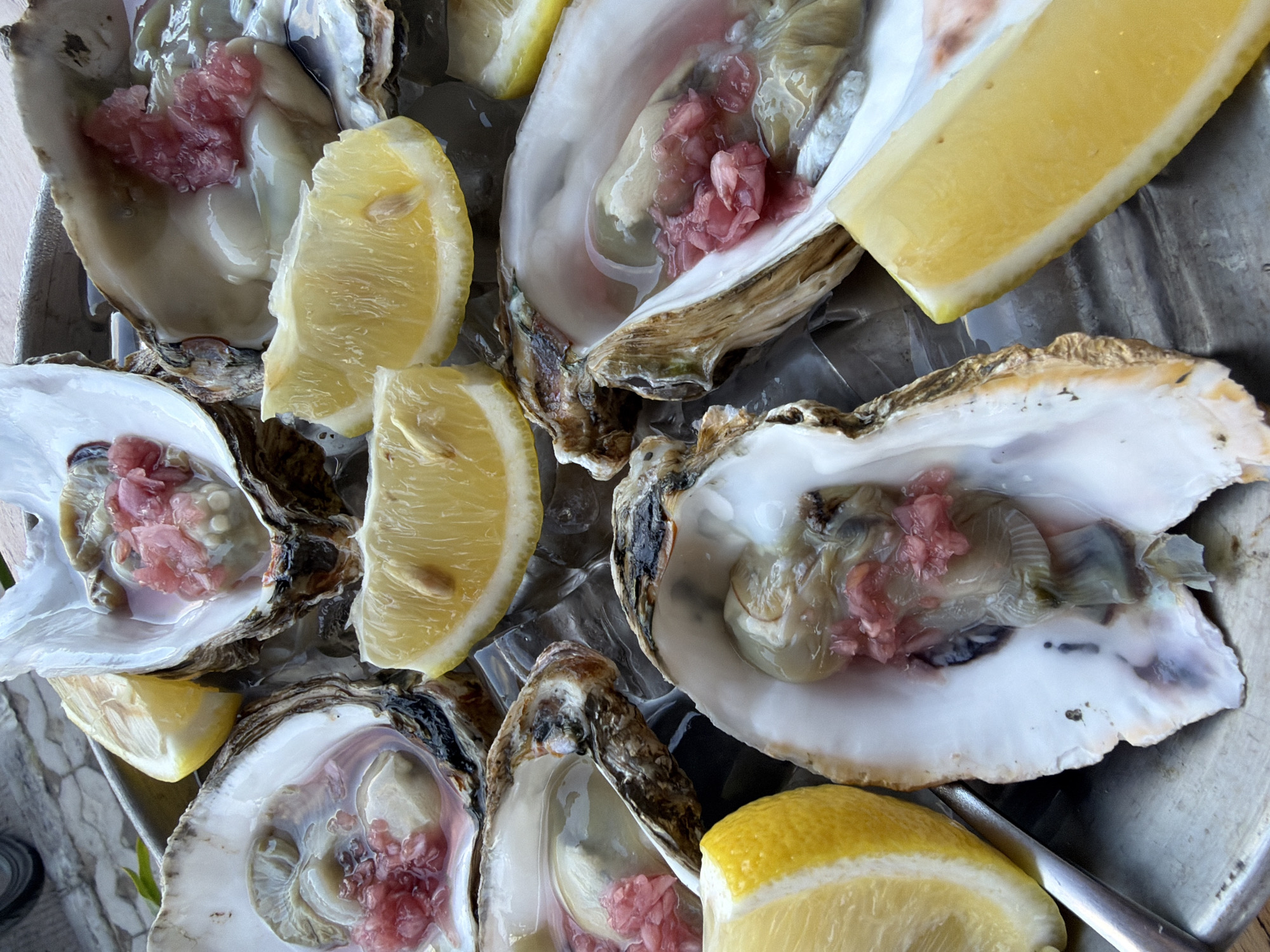 This is a close-up, overhead shot of a platter of oysters on ice, garnished with lemon wedges. The oysters are presented in their shells, revealing the plump, glistening meat and some pinkish accompaniments, possibly roe or mignonette. The shells are varied in color, with iridescent interiors and rough, textured exteriors. Several wedges of bright yellow lemon are strategically placed amongst the oysters, their citrusy presence suggesting a refreshing accompaniment to the seafood. The oysters are resting on a bed of crushed ice, which is beginning to melt, adding a glistening sheen to the platter. The overall impression is one of a fresh, upscale seafood presentation. The lighting suggests it could be daytime, and the setting appears to be indoors or on a shaded patio, given the even illumination and absence of harsh shadows. There is no visible text in the image. The location context provided is Kute, Indonesia.