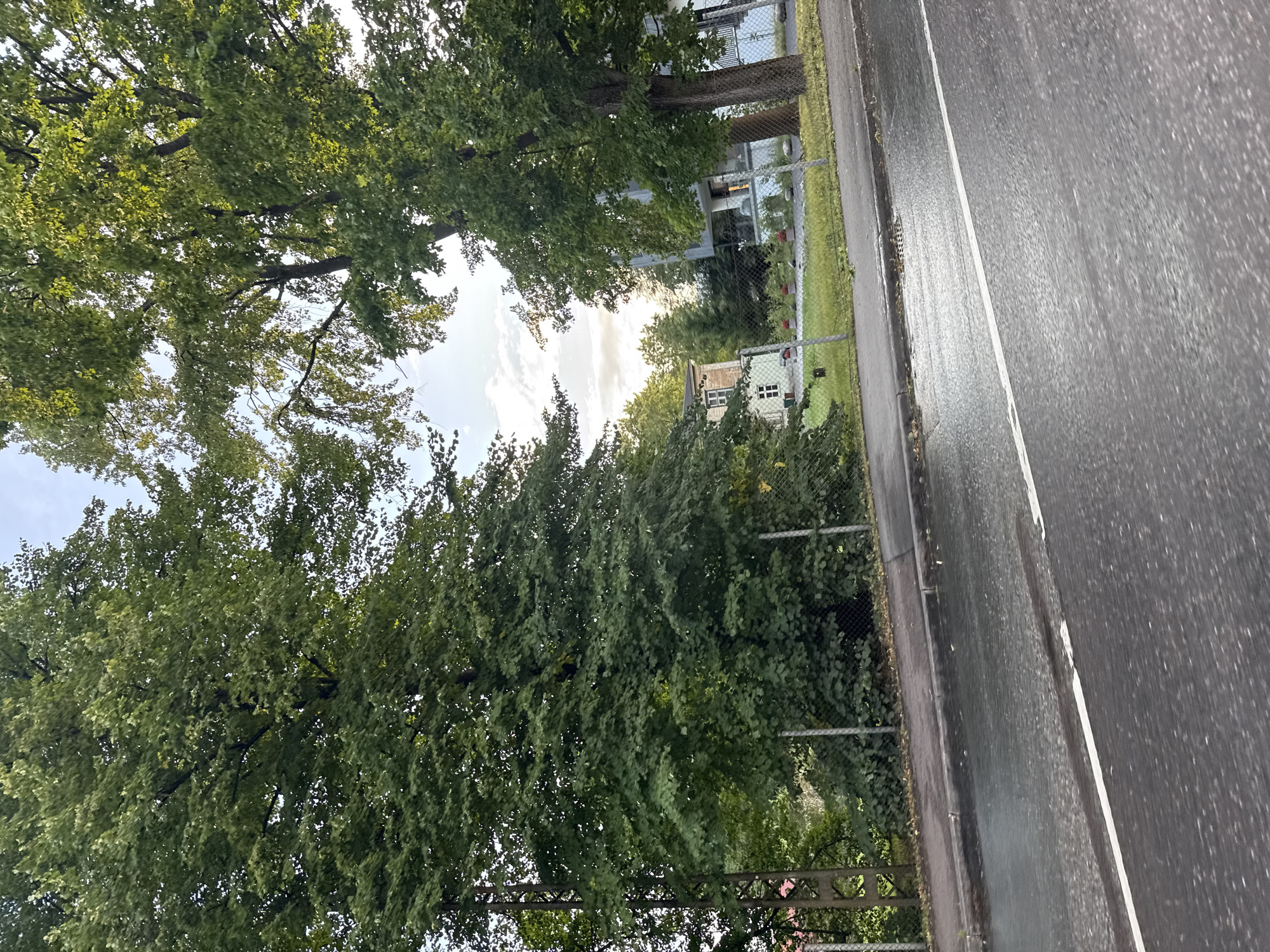 The image shows a street scene in Tallinn, Estonia, after a rainfall. The foreground is dominated by a wet asphalt road with a white lane marking. To the left of the road, a sidewalk and a grassy area separated by a wire fence are visible. Beyond the fence, there are lush green trees, some of which are very large and mature. In the background, there are buildings, including what appears to be a multi-story structure with balconies and a smaller, older-looking house with white siding and a pitched roof. The sky above is partly cloudy with hints of sunlight breaking through. The overall impression is a residential or semi-urban area with significant tree cover.