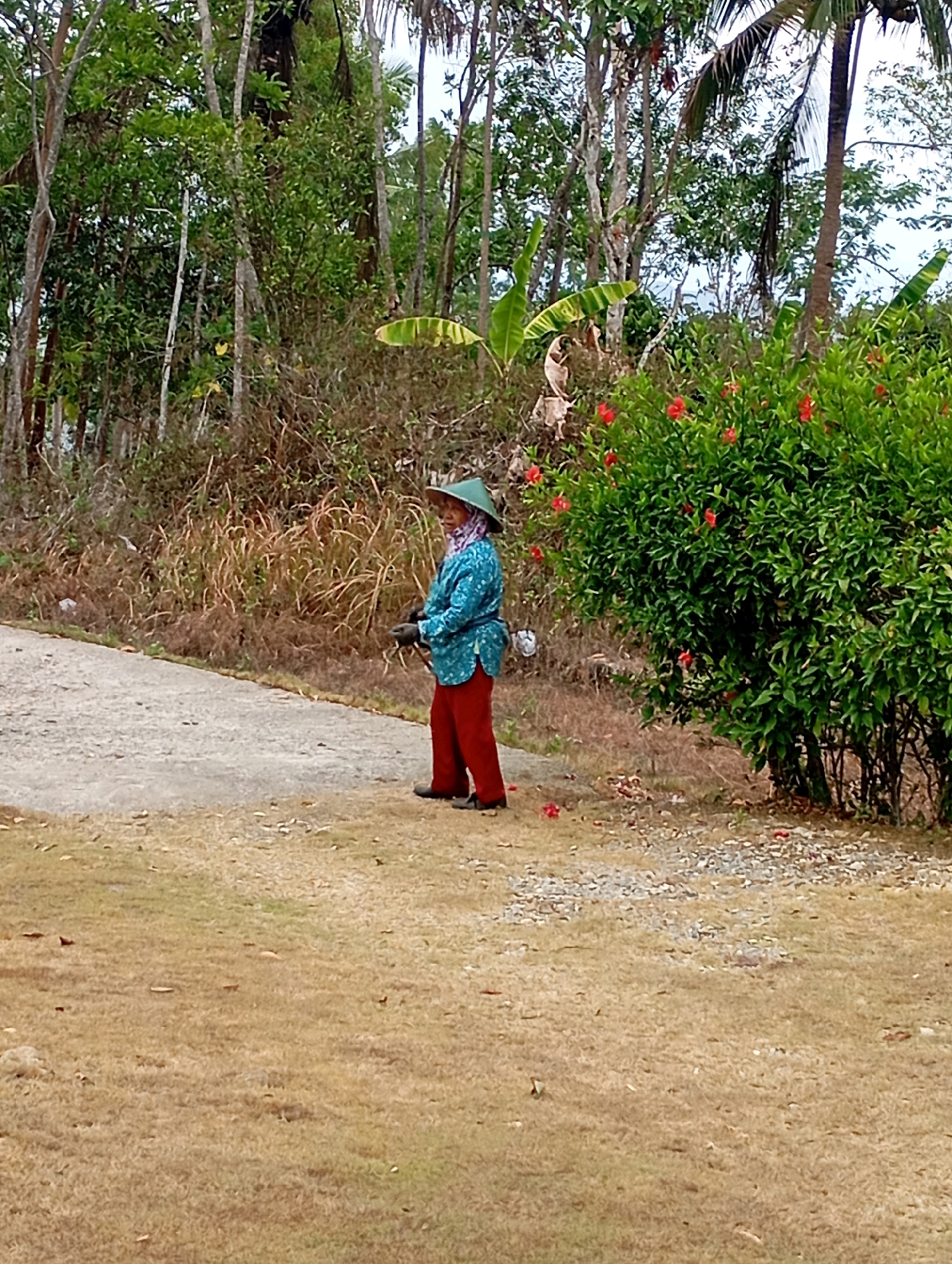 A person wearing a conical hat and a blue patterned shirt with red pants stands on a paved path next to a lush green bush with red flowers. The person appears to be holding a tool with their right hand. The ground is covered in dry grass. In the background, there are trees and dense vegetation. The scene is outdoors.
