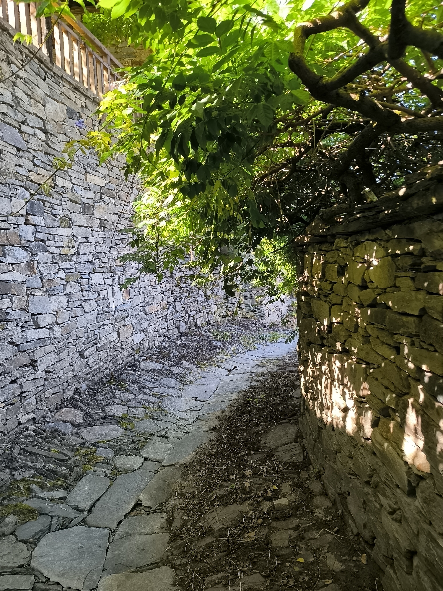 The image depicts a narrow, winding cobblestone alleyway flanked by two dry-stone walls, characteristic of the historic architectural style of Kovachevitsa, Bulgaria. The walls are constructed from irregularly shaped gray and brown stones, with moss and vegetation growing in some crevices. Lush green foliage from an overhanging tree casts dappled shadows across the path and the right-hand wall. Sunlight filters through the leaves, creating a pattern of light and dark on the stonework. The cobblestone path appears worn and uneven, with some flagstones dislodged and small branches and dry leaves scattered on the ground. A wooden railing is visible along the top of the left-hand wall, suggesting it might border a higher elevation or a terrace. The scene evokes a sense of timelessness and rustic charm, common to the preserved architectural heritage of Kovachevitsa. There are no people or animals visible in the image.