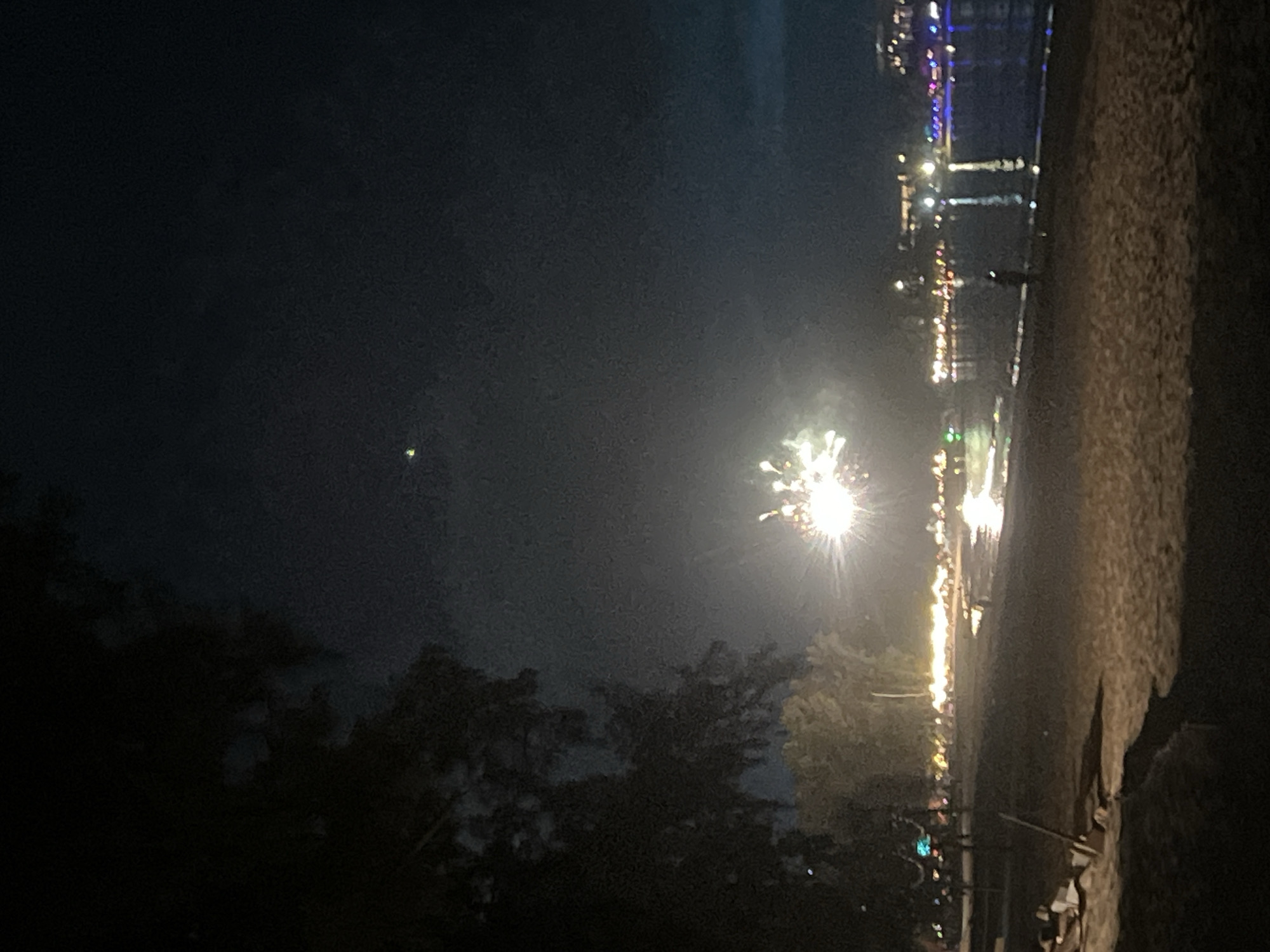 Here is a description of the image:
The image depicts a nighttime scene, likely at a beach location. On the right side, there's a strip of what appears to be a sandy beach. In the distance, there are lights indicating a populated area, possibly a city or town along the coast. A firework is exploding, creating a bright burst of light. In the foreground, there are silhouetted trees or foliage. The scene suggests an event or celebration taking place near the coast, with fireworks illuminating the dark sky.