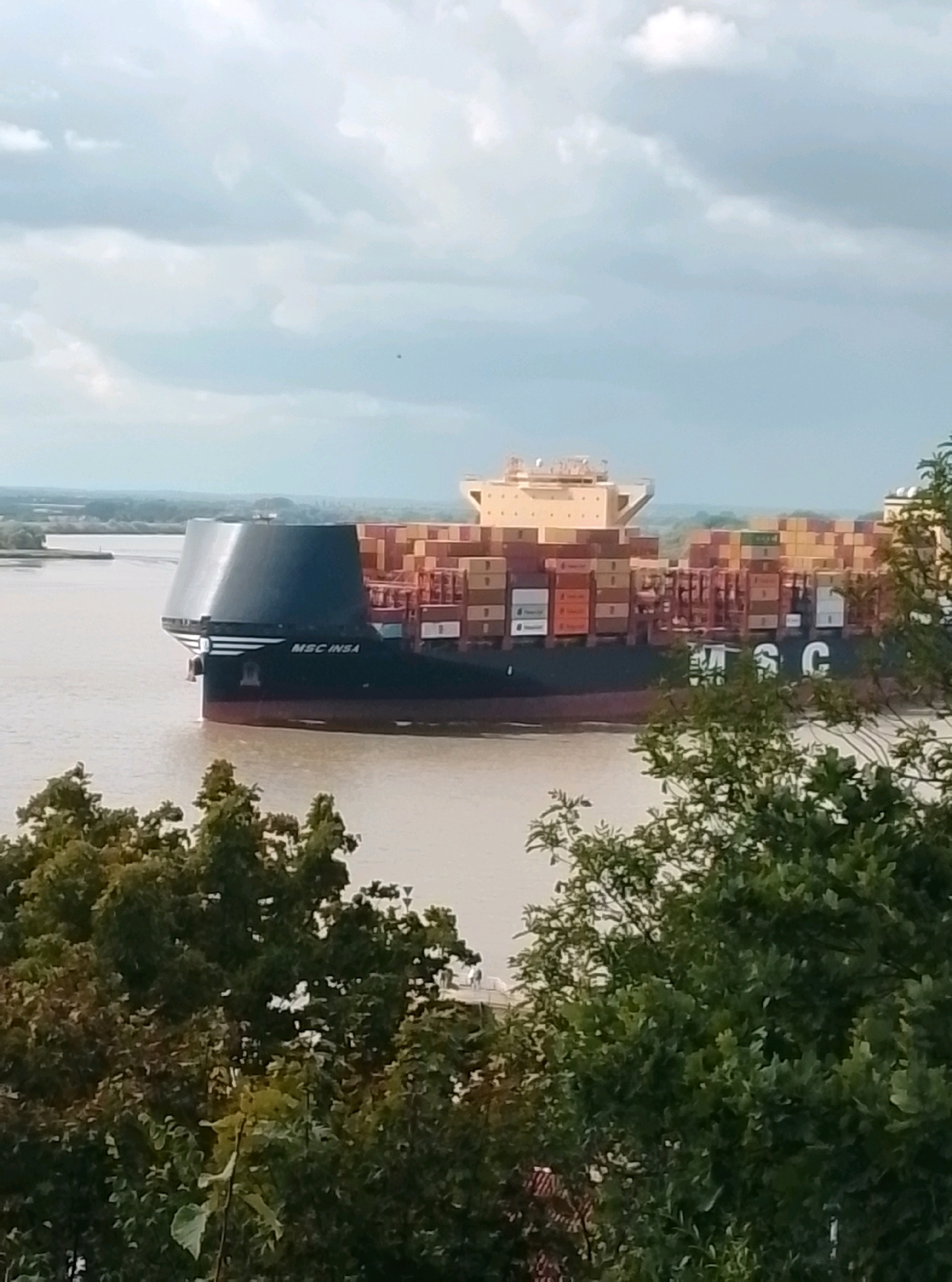 A large container ship, identified by the name "MSC INSA" on its hull, is navigating a wide, brown river. The ship is laden with numerous shipping containers stacked high, and its superstructure is visible at the stern. A distinctive, dark, curved aerodynamic structure is present at the bow of the vessel. The riverbanks are lined with lush green trees in the foreground, obscuring part of the lower portion of the image. In the background, a hazy, tree-covered landscape with a pale sky suggests an overcast or cloudy day. The scene appears to be an industrial or port area, consistent with Hamburg, Germany, a major port city.