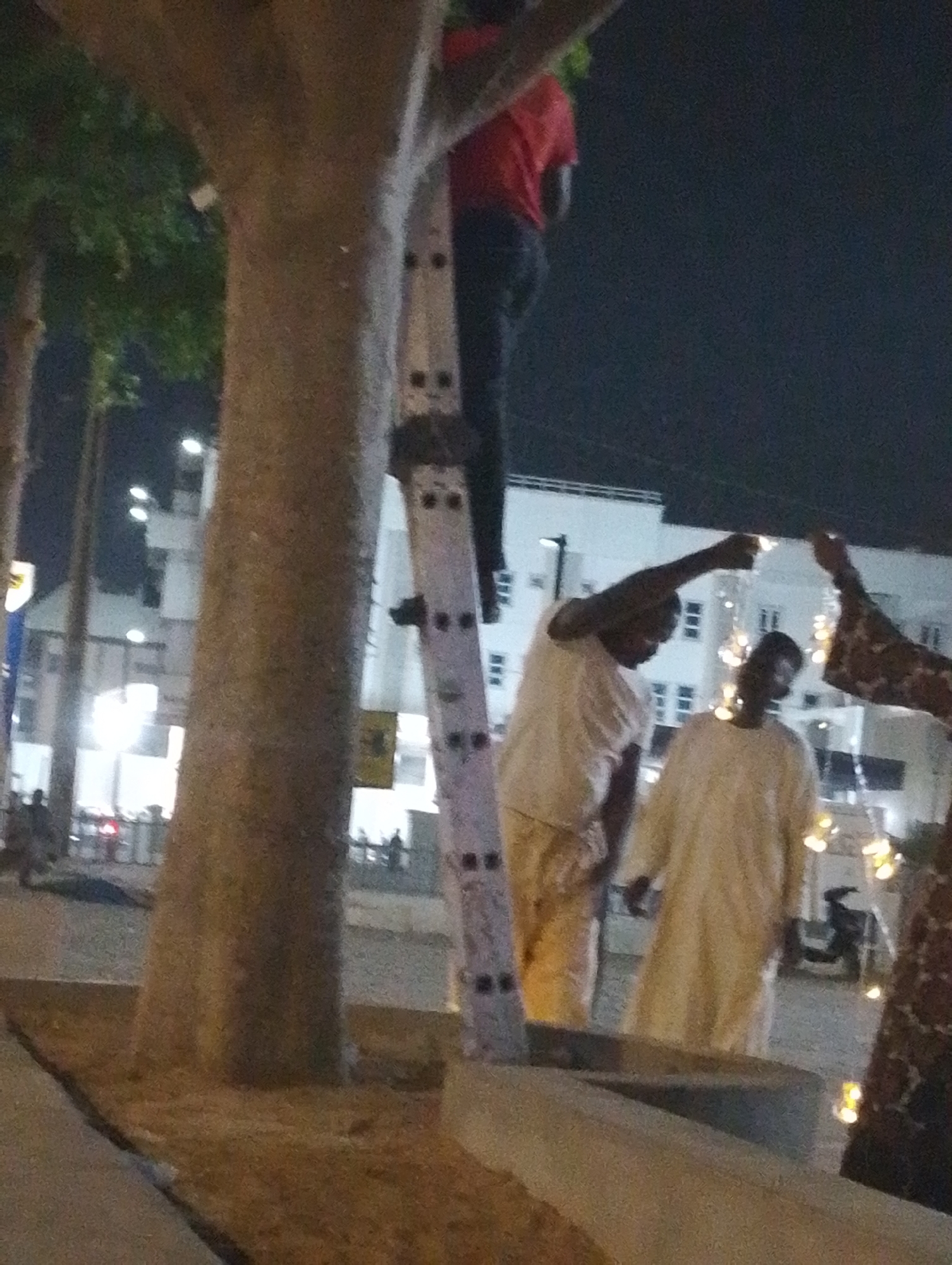 This media file captures an outdoor night scene in what appears to be an urban or town setting, possibly Gandu Albasa, Nigeria. The central focus is a large tree trunk, against which a silver ladder is propped. A person, wearing a red shirt and dark trousers, stands on the upper portion of the ladder, facing away from the viewer and reaching upwards, likely interacting with the tree or overhead decorations.
To the right of the tree, three other individuals are visible. One person, dressed in a light-colored (possibly white or cream) traditional garment, is reaching up with their right arm, holding or manipulating a strand of glowing string lights. Another person, also in a similar light-colored garment, stands slightly behind and to the left of the first, looking upwards. A third person, partially visible on the far right, wears a patterned brown and black garment and is also involved in handling the string lights.
The activity taking place suggests the setup of decorative lighting, possibly for an event or celebration, as the people are actively hanging or adjusting the bright, warm-toned string lights. The dark sky and the reliance on artificial light sources, including the glowing string lights and lights from distant buildings, confirm the time of day as night.
In the background, brightly lit multi-story buildings with numerous windows are visible. The ground includes a paved area and a soil patch around the tree base. Other indistinct figures and vehicles can be vaguely seen in the distance, suggesting a public street or plaza environment. There is no clearly visible or legible text in the image.
