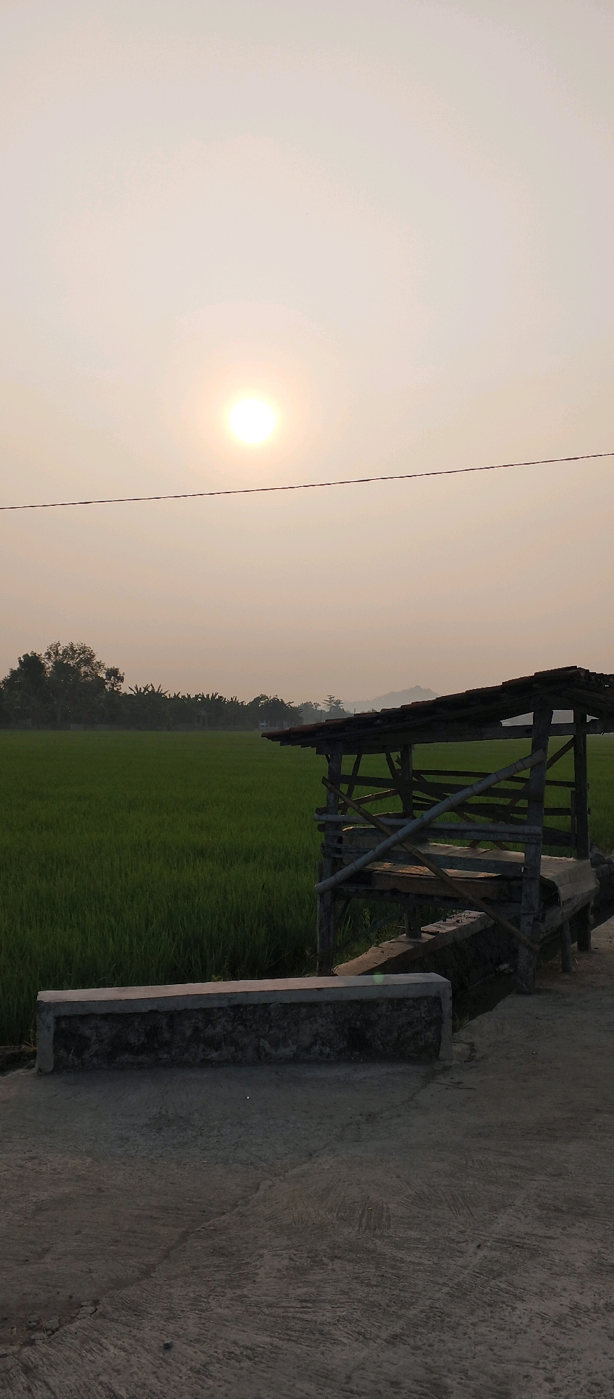 The image depicts a rural scene at dawn or dusk, likely in Japanan, Indonesia, given the agricultural landscape. The sky is a pale orange-yellow, with a bright, diffused sun near the top center. A thin black wire stretches horizontally across the sky. In the mid-ground, a lush green rice paddy extends to the left. To the right, a rustic wooden structure, possibly a small hut or shelter, stands adjacent to the paddy. The hut has a slanted, tiled roof supported by wooden posts and bamboo crossbeams. In the foreground, a concrete walkway or path is visible, with a low, rectangular concrete structure running horizontally across it. The overall atmosphere is serene and tranquil.