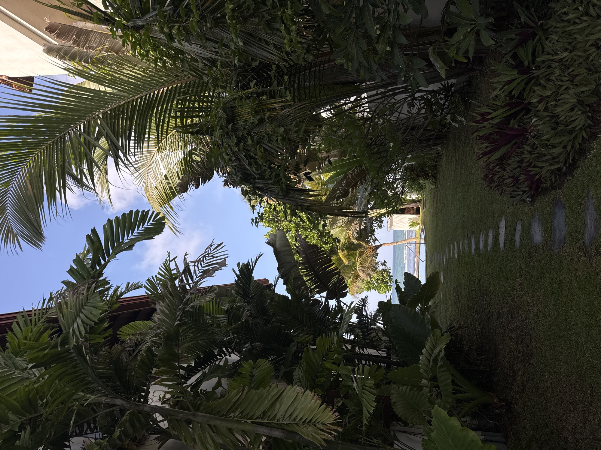 The image depicts a pathway of flat, gray stones leading through a lush green garden towards the ocean. The pathway is flanked by dense tropical foliage, including large palm fronds and other broad-leafed plants. To the left and right, white buildings with reddish-brown rooflines are partially visible, suggesting a resort or residential area. In the distance, beyond the garden and a thin strip of sand, the blue ocean meets a clear blue sky with scattered white clouds. A single palm tree stands near the ocean, and a circular swimming pool is visible in the middle ground. The scene appears tranquil and scenic, characteristic of a tropical coastal location.