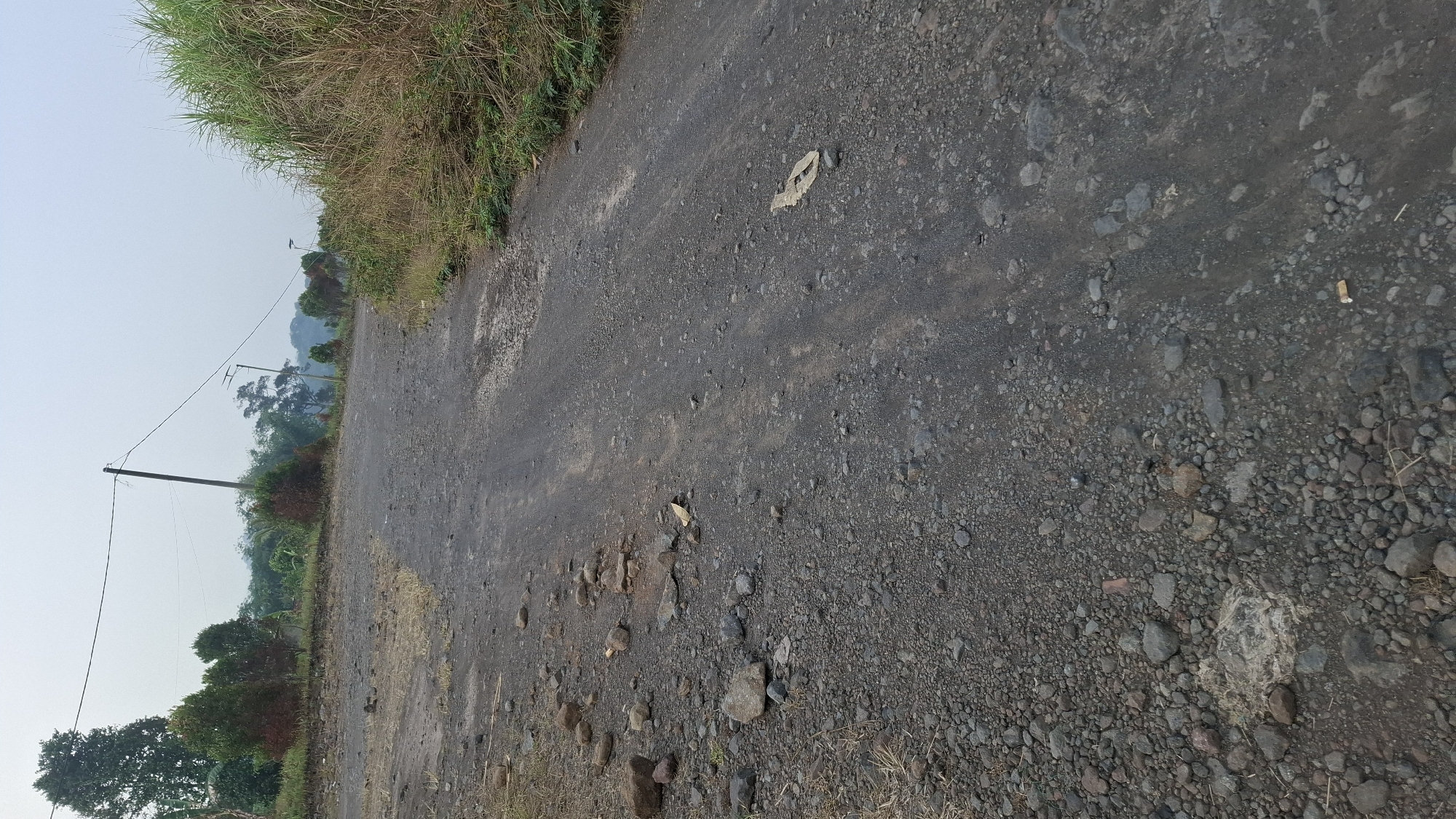The image shows an unpaved, gravel road winding uphill in a rural area. The road surface is covered in loose stones and dirt. To the left of the road, there is a sparse grassy verge with some scattered rocks. Further left, the terrain slopes upwards with some trees and vegetation. To the right of the road, dense green grass and reeds grow. In the background, there are more trees and hills, with a hazy sky overhead. Power lines and utility poles are visible in the distance. The scene appears to be a quiet, undeveloped area, possibly in the outskirts of Cibinong Hilir, Indonesia. There are no people or animals visible in the image.