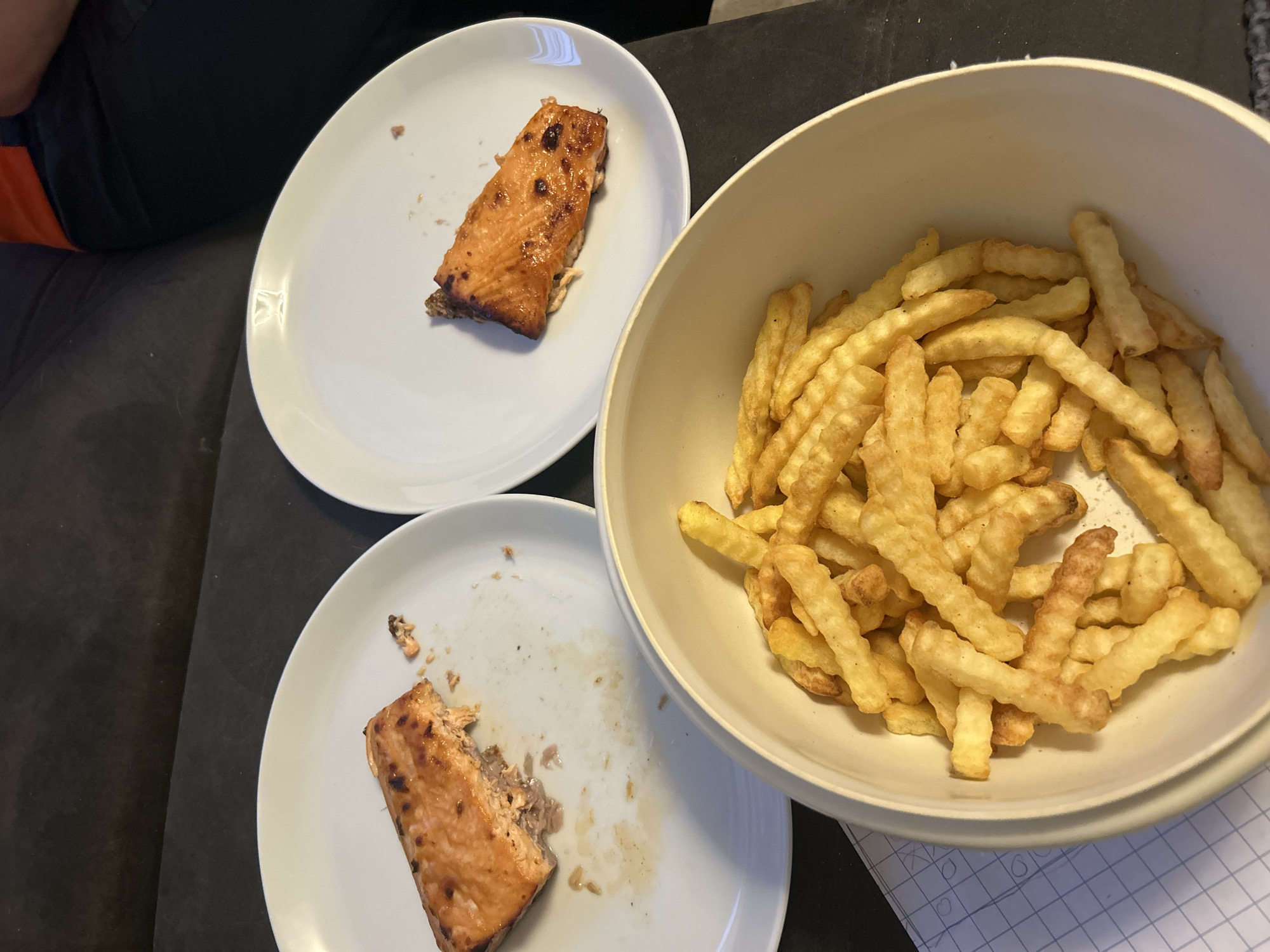 The image shows two plates of cooked salmon and a bowl of french fries. One plate contains a single piece of salmon with some residue. The other plate has a piece of salmon that appears to be glazed. The french fries are crinkle-cut and golden brown. The food is arranged on a dark surface, likely a couch, as indicated by the texture in the background. There is a notebook with grid lines visible at the bottom left of the image. The scene appears to be a casual meal setting. No specific landmarks or identifying features suggest a location in Leiden, Netherlands.