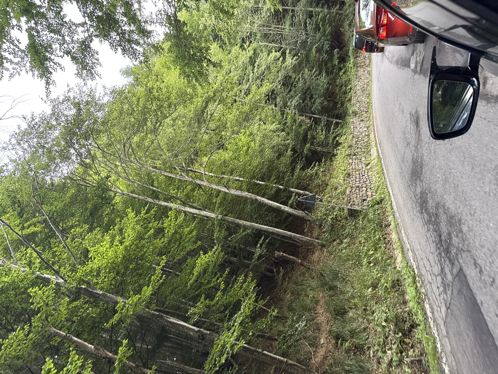 The image depicts a winding road in Arefu, Romania, flanked by a dense forest on the left and a stone retaining wall on the right. Several cars are visible on the road, suggesting moderate traffic. The trees are lush and green, indicating a summer or late spring setting. The sky is overcast, casting a soft light on the scene. The perspective is from inside a car, with a side-view mirror reflecting the surrounding foliage. The road appears to be asphalt, with some patches of wear and tear. A traffic sign is visible on the right side of the road.