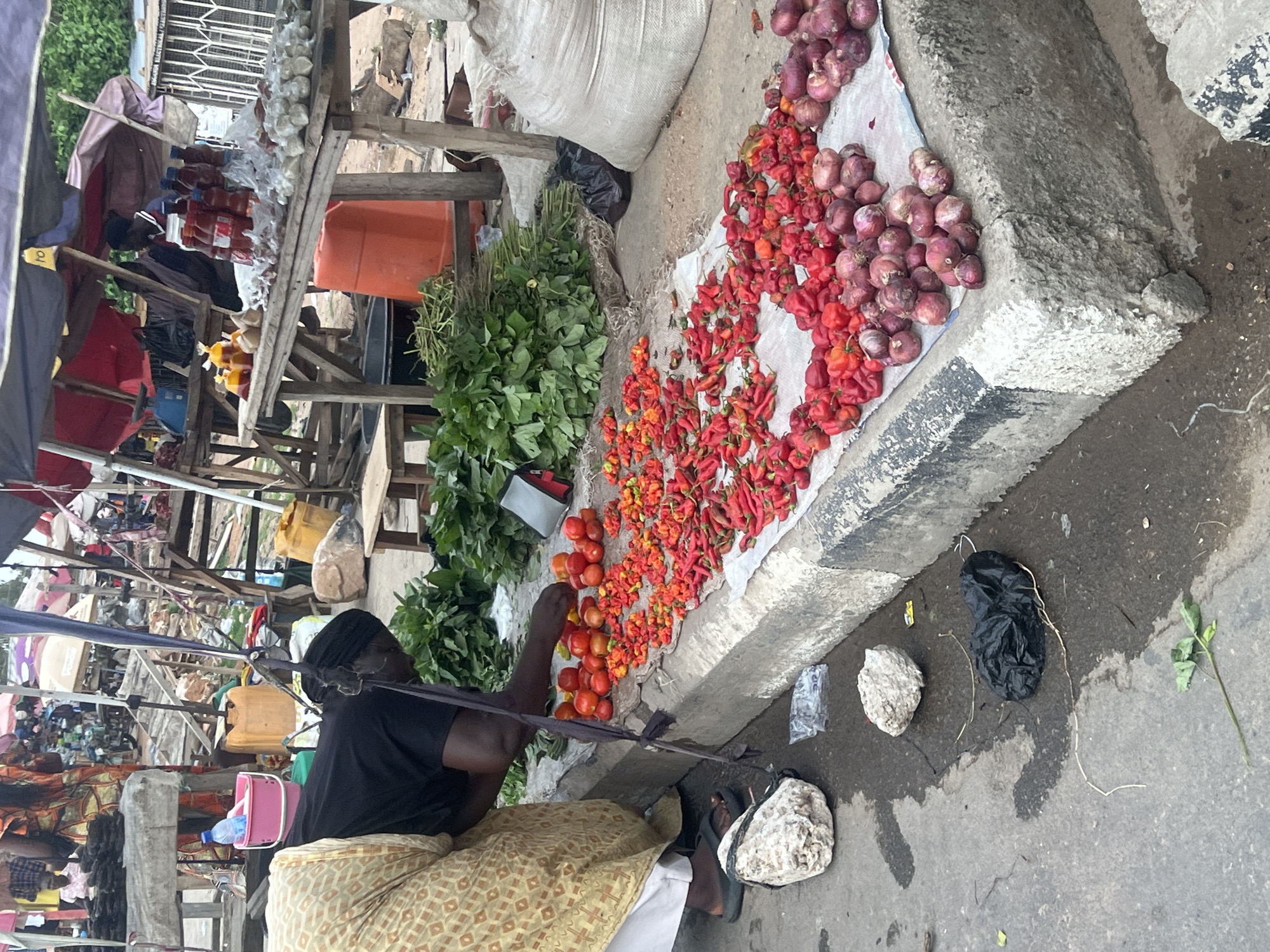 Location: Jalingo, Nigeria.
Scene: A roadside market stall with a seated vendor.
People: One adult seated female vendor with dark skin, wearing a black shirt, head wrap, and patterned tan and cream skirt.
Subjects: Red and orange peppers, red tomatoes, green leafy vegetables, and purple onions are displayed for sale.
Objects: The produce is arranged on a white sheet next to a concrete curb. Miscellaneous goods are displayed on a multi-level wooden stand further back. Orange plastic container. Black plastic bag on the ground. A pink bucket is nearby.
Actions: The vendor appears to be sorting or arranging tomatoes.
Interactions: Possible interaction with potential customers.
Environment: Open-air market setting. Overcast daylight conditions. The ground appears wet or damp.