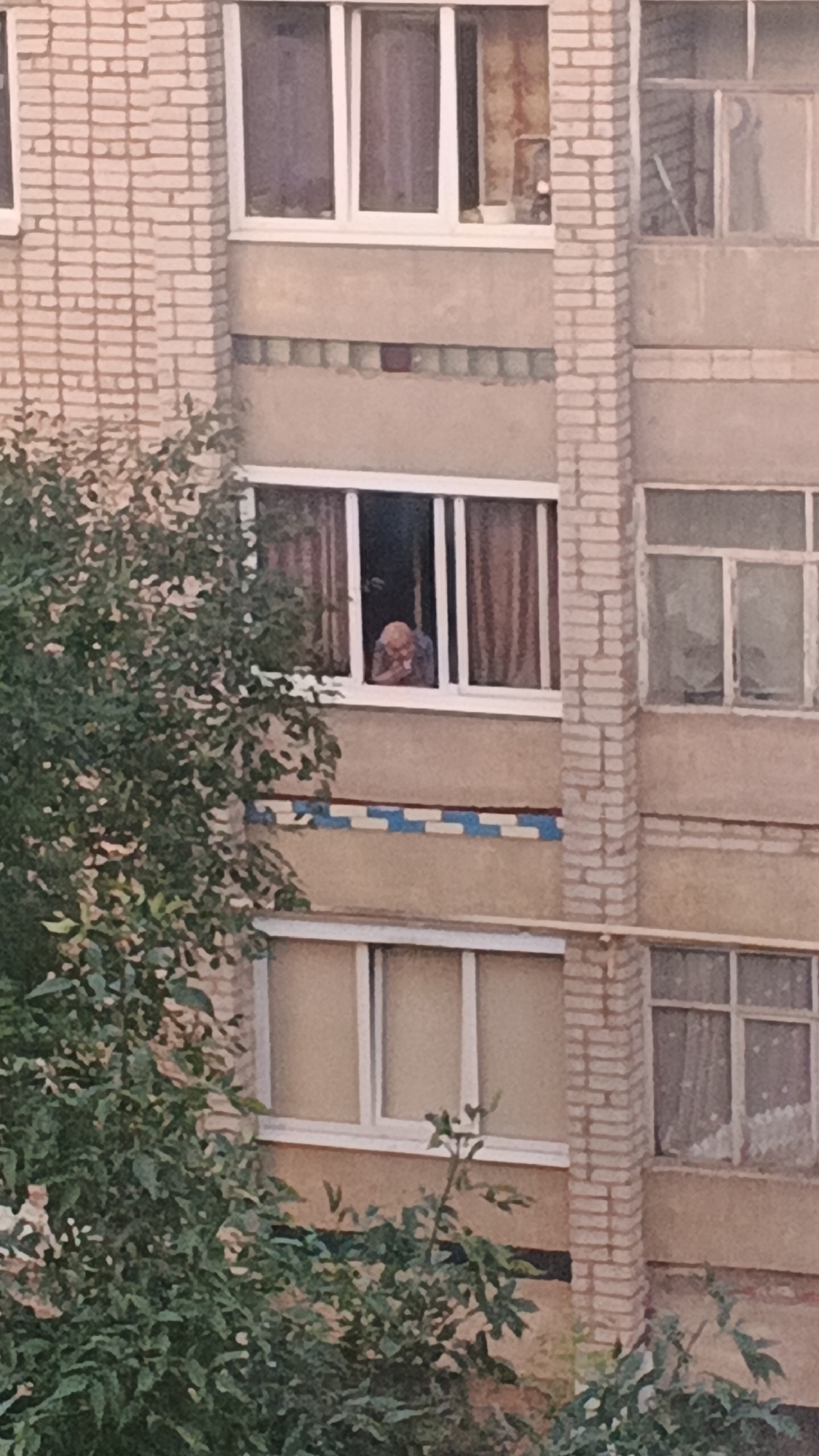 The image shows a multi-story brick apartment building in Izhevsk, Russia. A person is visible looking out of a second-story window. The person appears to be an elderly individual with light-colored hair and is wearing a blue garment. The window has brown curtains. In the foreground, there is dense green foliage, suggesting that the photograph was taken from a lower vantage point, possibly from across the street or from a neighboring building. The building's facade is light brown brick with horizontal bands of beige and decorative blue and white tiling between some of the windows. Other windows on the building are visible, some with curtains and some appearing empty. The overall impression is a snapshot of everyday life in a residential urban environment.