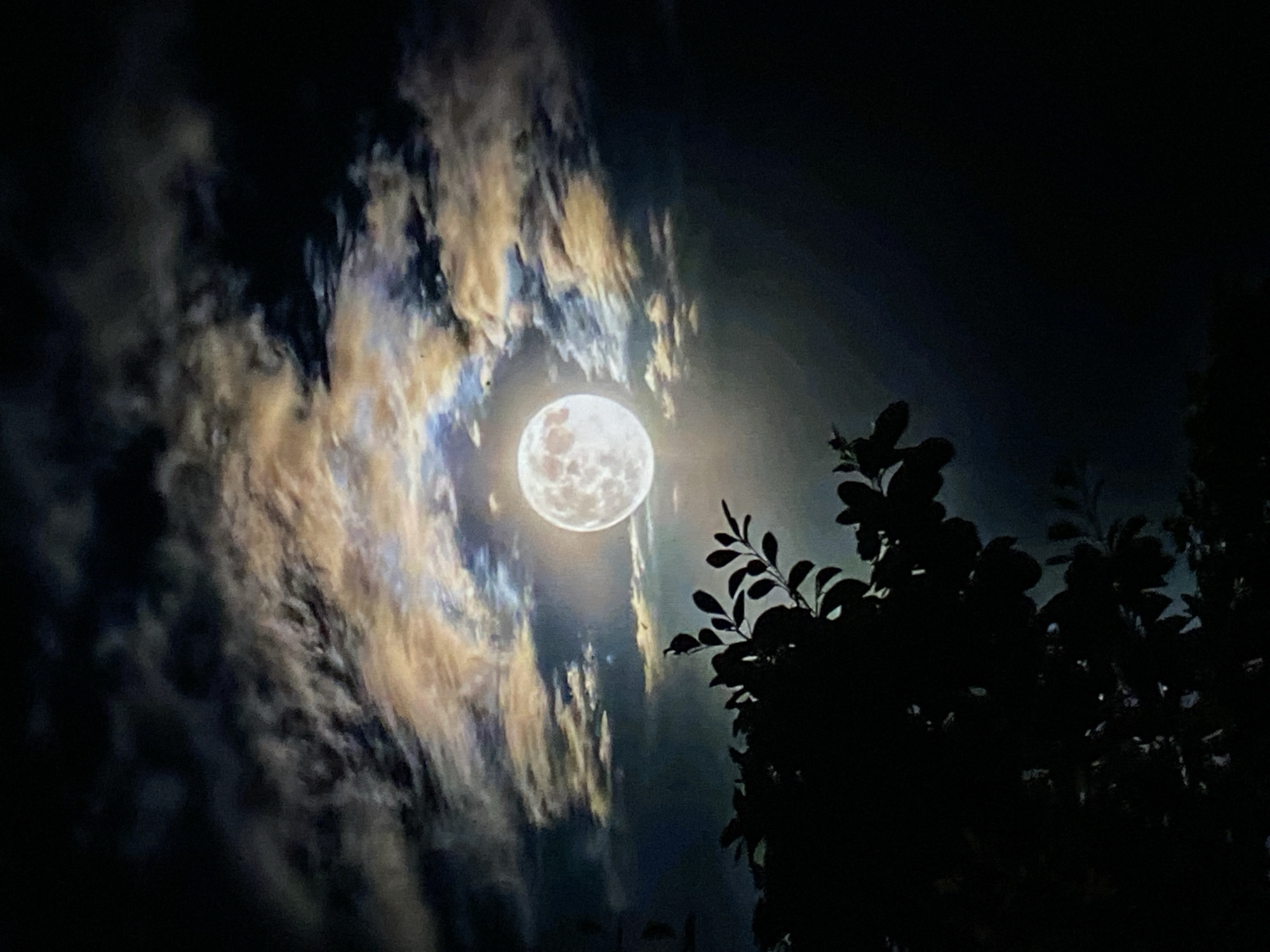 A full moon shines brightly through dramatic, textured clouds that are illuminated with hues of gold and blue. In the foreground, silhouetted branches of a leafy tree create a dark, organic shape against the illuminated sky. The overall scene depicts a night sky with a prominent celestial body and atmospheric clouds, with a natural element in the foreground. The location is specified as Tinaquillo, Venezuela.