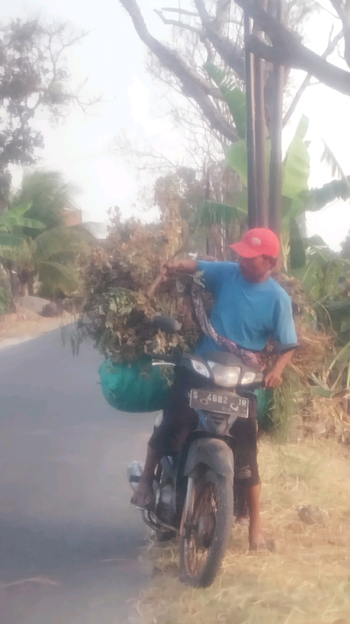 A person wearing a blue t-shirt and a red cap rides a motorcycle on a paved road. The motorcycle is laden with a large green basket filled with dried vegetation, which is tied to the back. The person is looking to their right and appears to be pointing with their left hand. The background shows a street with trees, vegetation, and a power pole. The scene is set in a rural or semi-rural area, possibly in Palang, Indonesia, given the context. The overall lighting suggests it is daytime, with a slightly hazy or overcast sky.