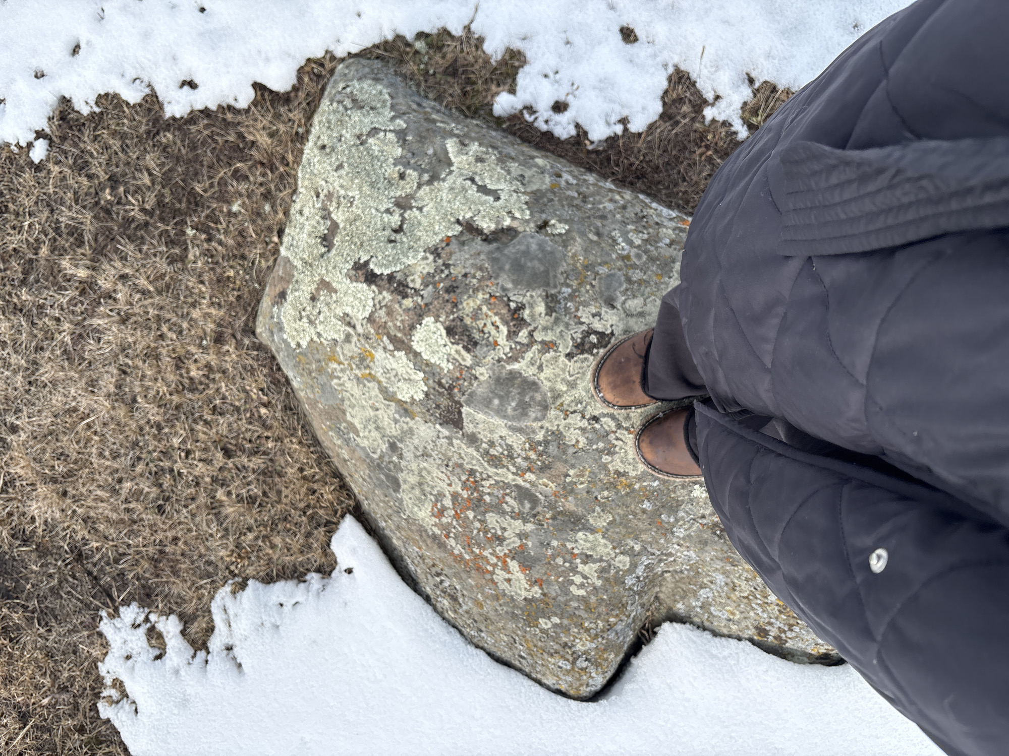 An overhead, close-up shot captures a person standing on a large, lichen-covered rock amidst a snowy, grassy landscape. The person is visible from the waist down, wearing a dark, possibly black, quilted coat and sturdy brown boots with lighter soles. Their feet are positioned towards the center-right of the rock.
The rock itself is irregularly shaped, with a grey base and extensive patches of light green and yellowish-orange lichen covering its surface. Surrounding the rock and extending towards the edges of the frame is dry, sparse brown grass, characteristic of late autumn or early spring vegetation. Irregular patches of white snow partially cover the grass, particularly along the bottom and top edges of the image, indicating cold weather conditions. The overall lighting suggests it is daytime, possibly overcast, given the soft shadows and even illumination. No text is visible in the image. The scene conveys a sense of a natural, outdoor environment in a cold climate, consistent with the provided context of Невон, Russia.