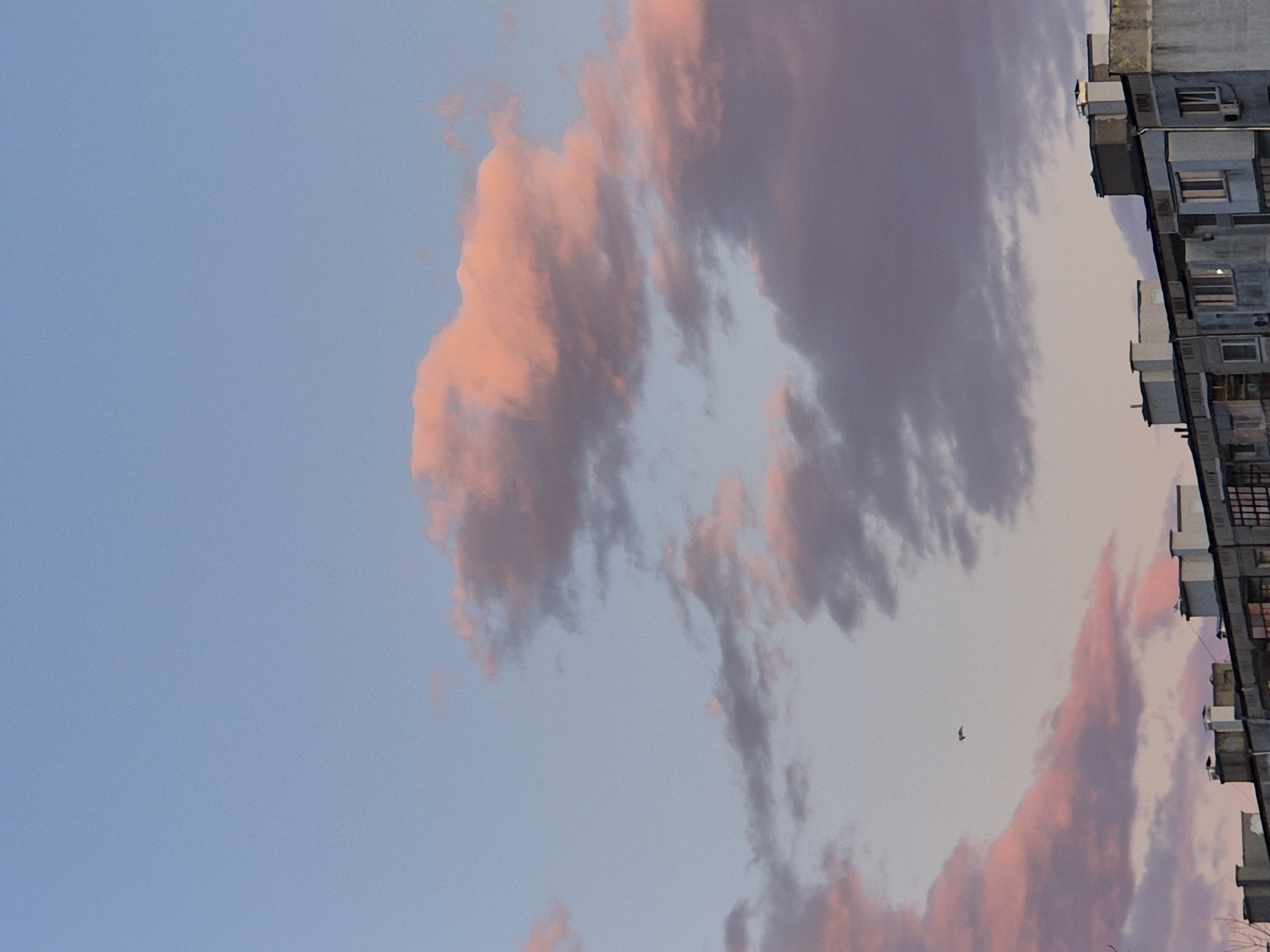 A photograph of a cityscape, seemingly from Varna, Bulgaria, rotated counterclockwise, captures a sky filled with clouds painted in hues of pink and purple by the setting sun. A tall, weathered building stands on the right edge of the frame, its windows and balconies visible. A small bird is silhouetted against the sky. The rest of the sky shows gradient of pale blue to light purple.