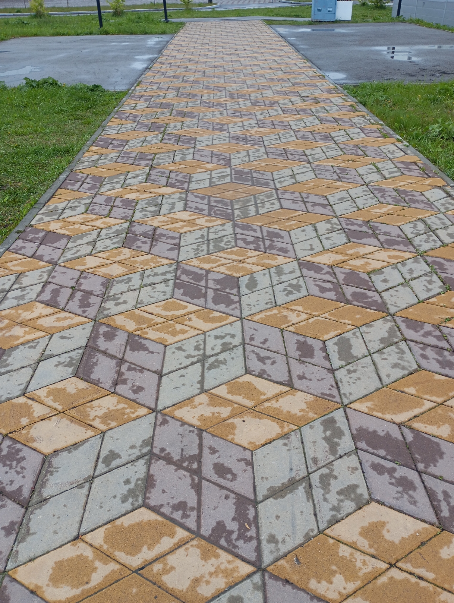 The image shows a wet, patterned brick walkway. The bricks are laid out in a repeating rhomboid pattern with three colors: tan, light gray, and dark gray, creating an optical illusion of three-dimensional cubes. The walkway is flanked by grass on both sides and leads to a paved area with bushes, poles, and a small utility structure in the background. The location is Kamensk-Uralsky, Russia.