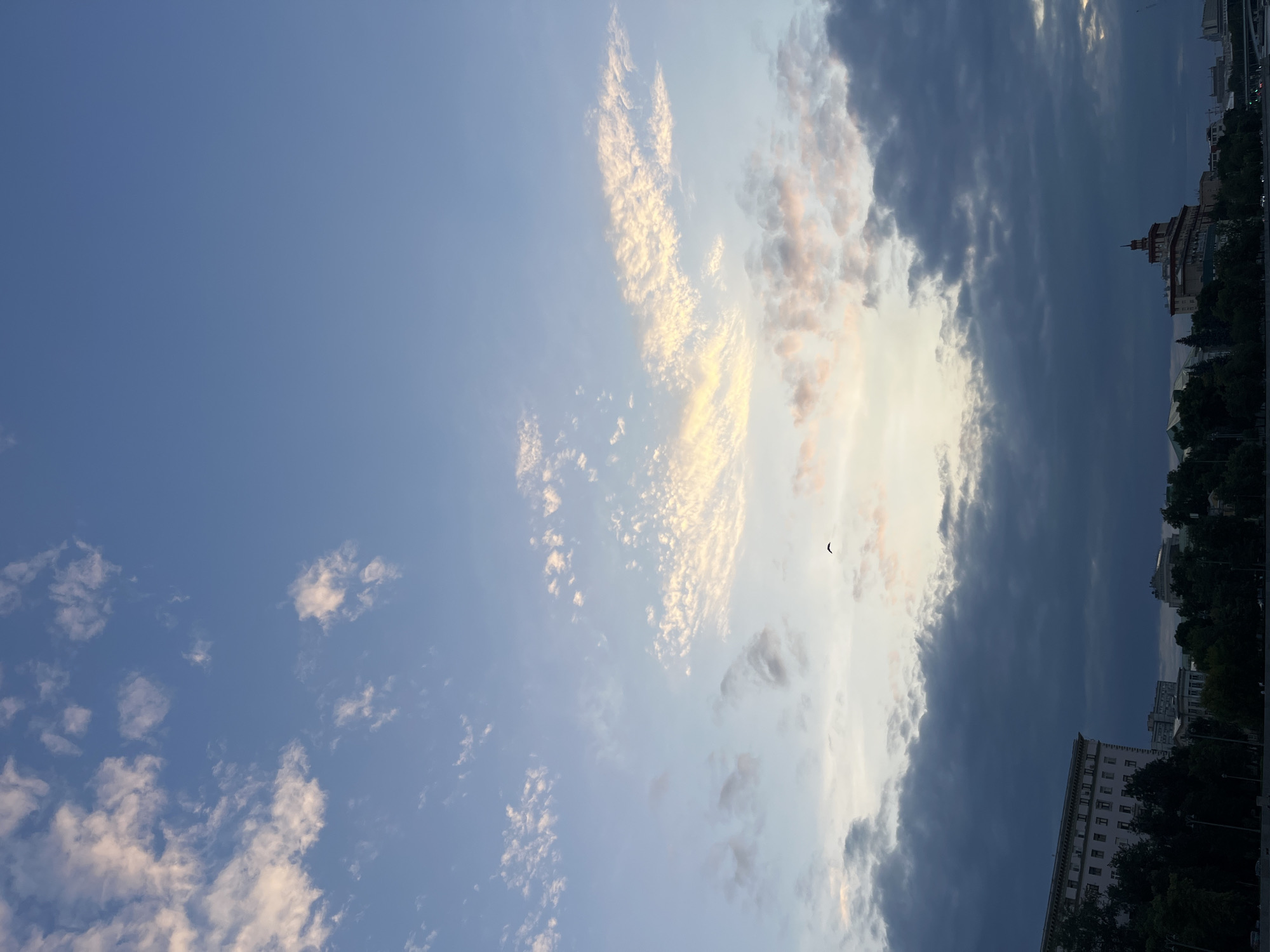 The image depicts a panoramic view of a city skyline under a twilight sky, likely in Moscow, Russia, given the architectural style. The sky transitions from a deep blue at the top to lighter shades of pink and orange near the horizon, illuminated by the setting or rising sun. Wispy clouds are scattered across the sky, with some catching the light and appearing golden. In the lower portion of the image, a silhouette of buildings and trees lines the waterfront. One prominent building on the left is a large, light-colored structure with multiple floors and a symmetrical design. To the right, a building with a distinctive red-tiled roof and a tower stands out. The trees are dense and dark, obscuring the ground level. A single bird is captured in mid-flight in the middle of the frame, silhouetted against the brighter sky. The overall impression is a serene, urban landscape during the transition from day to night.