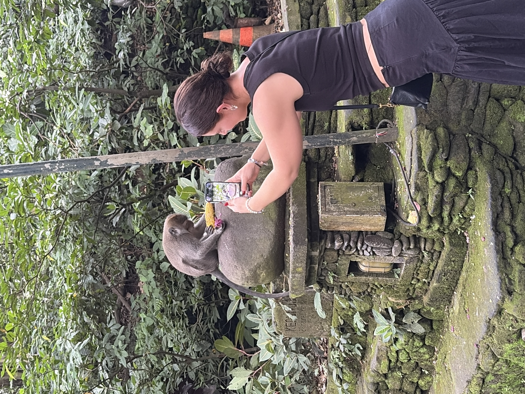 In the Ubud Monkey Forest, a woman in a black tank top and skirt takes a photo of a monkey on a stone structure. The monkey is seated on a large, round stone, holding a piece of corn and a red object. The woman is holding a smartphone up, capturing the scene. The environment is lush and green, with dense foliage surrounding the stone structures. A weathered metal pole stands nearby. The stone structures are covered in moss and appear to be part of a temple or garden. An orange traffic cone is visible in the background.