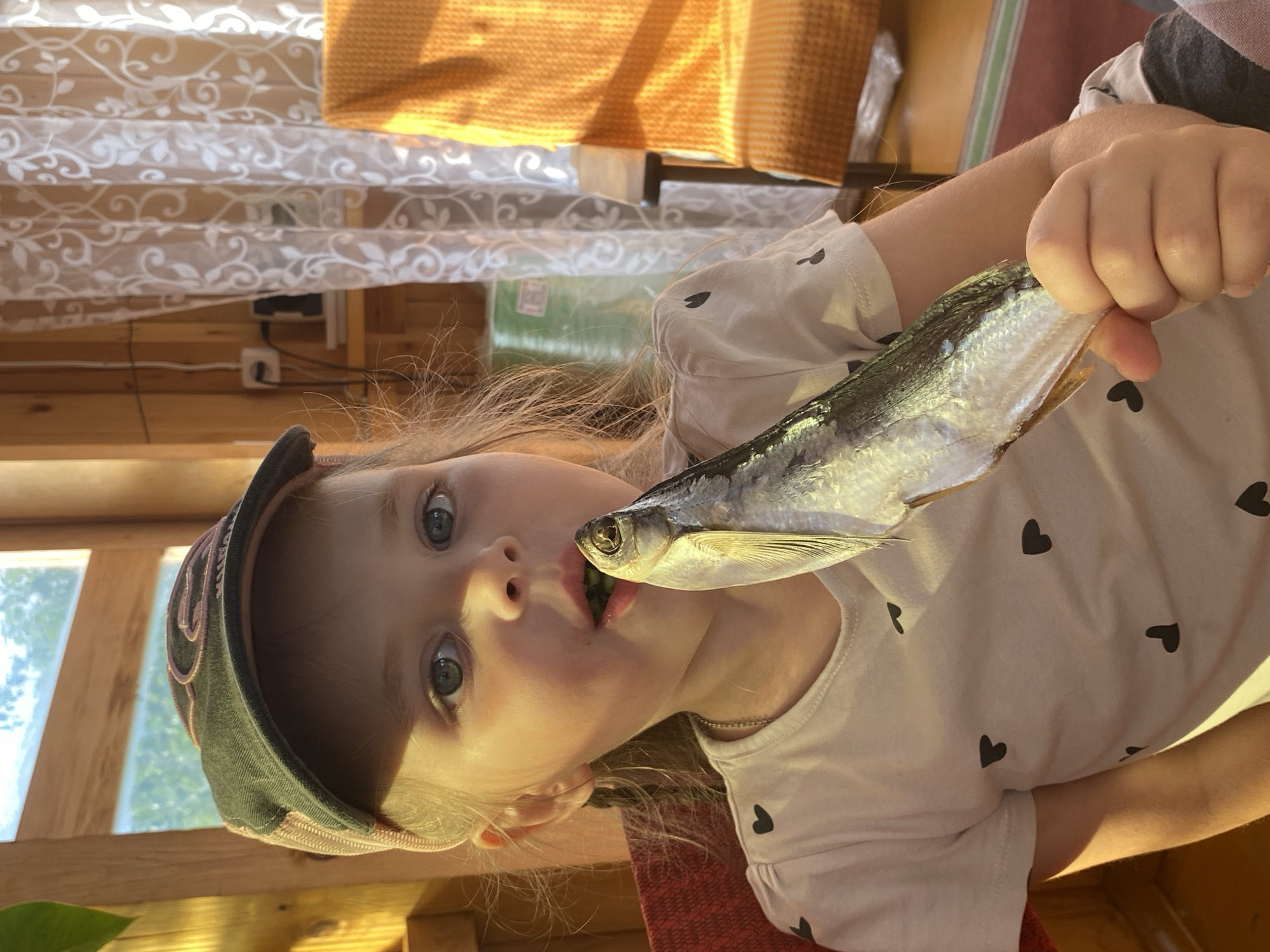 A young girl with blonde hair and blue eyes, wearing a white t-shirt with small black hearts and a dark baseball cap, is holding a small dried fish up to her mouth. The fish is silver and positioned as if she is about to take a bite. Her mouth is slightly open, and her eyes are wide, looking towards the camera.
The background suggests an indoor setting with natural light filtering through a window. She is sitting on a wooden surface, possibly a table or bench, with wooden walls visible. In the background, there is a sheer white curtain with a floral pattern, and a yellow textured object, possibly a blanket or cushion, is draped over something. Sunlight casts shadows, indicating it might be daytime. The overall scene appears casual and domestic. The girl's expression is one of curiosity or playful engagement with the fish. There is no visible text in the image. The location context is Votkinsk, Russia.