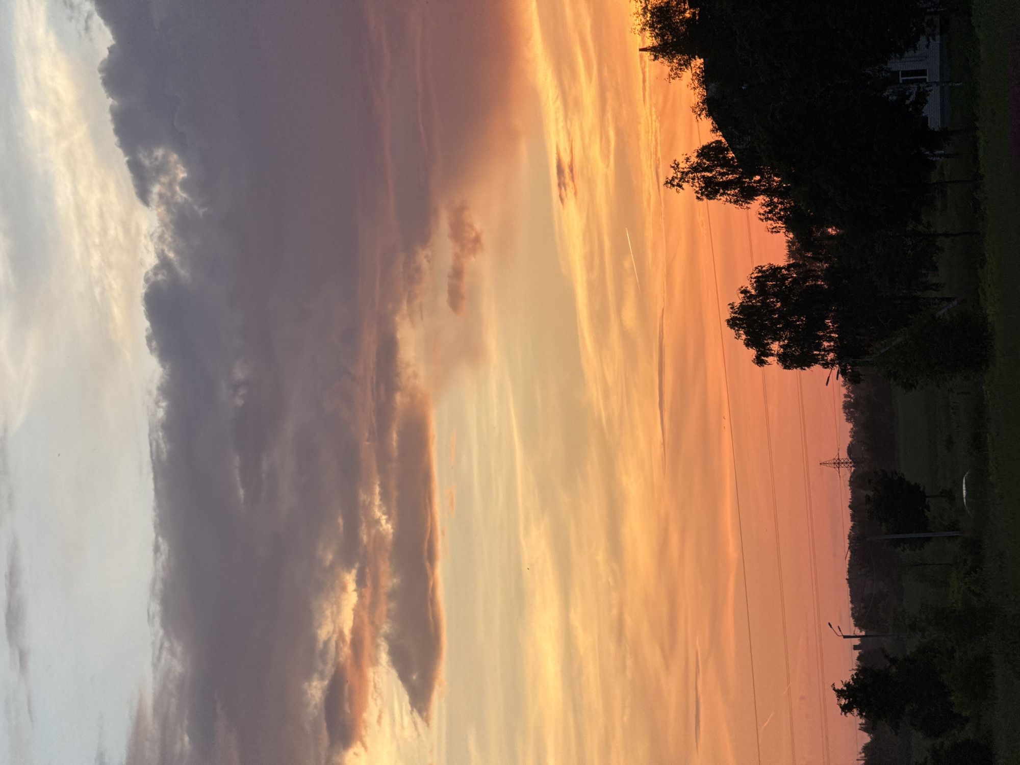 The image depicts a sunset over a rural or suburban area, likely on the outskirts of Murom, Russia. The sky is filled with dramatic clouds, painted in hues of orange, pink, and purple, transitioning to a pale blue at the top. Faint white contrails are visible in the sky, indicating air traffic. In the foreground, silhouetted trees and vegetation create a dark band across the bottom of the frame. Several power lines and utility poles are visible, suggesting the presence of infrastructure. A single cell phone tower or similar structure can be seen in the distance. The overall atmosphere is serene and captures the beauty of the twilight hour.