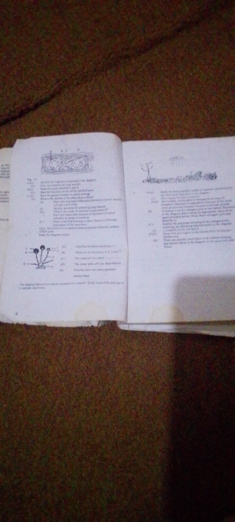The image shows an open book lying on a textured, dark brown surface, possibly a carpet or blanket. The book is open to two pages, displaying diagrams and text. The left page features a diagram of a cross-section of a leaf, with labels and questions related to its structure and function. Below this diagram is another labeled diagram, appearing to be of a fungus, with accompanying questions. The right page of the book contains text and a simple line drawing of a plant. The lighting suggests an indoor setting, and the overall impression is of study materials. There is no indication of people, specific weather, or time of day. The location context provided is Jalingo, Nigeria, which is not directly evident from the image itself. Some visible text includes "Fig. 2.1" and question prompts such as "Identify the organism illustrated in the diagram," "Label the parts indicated 1-7," and "What are the functions of x, y, and z?".