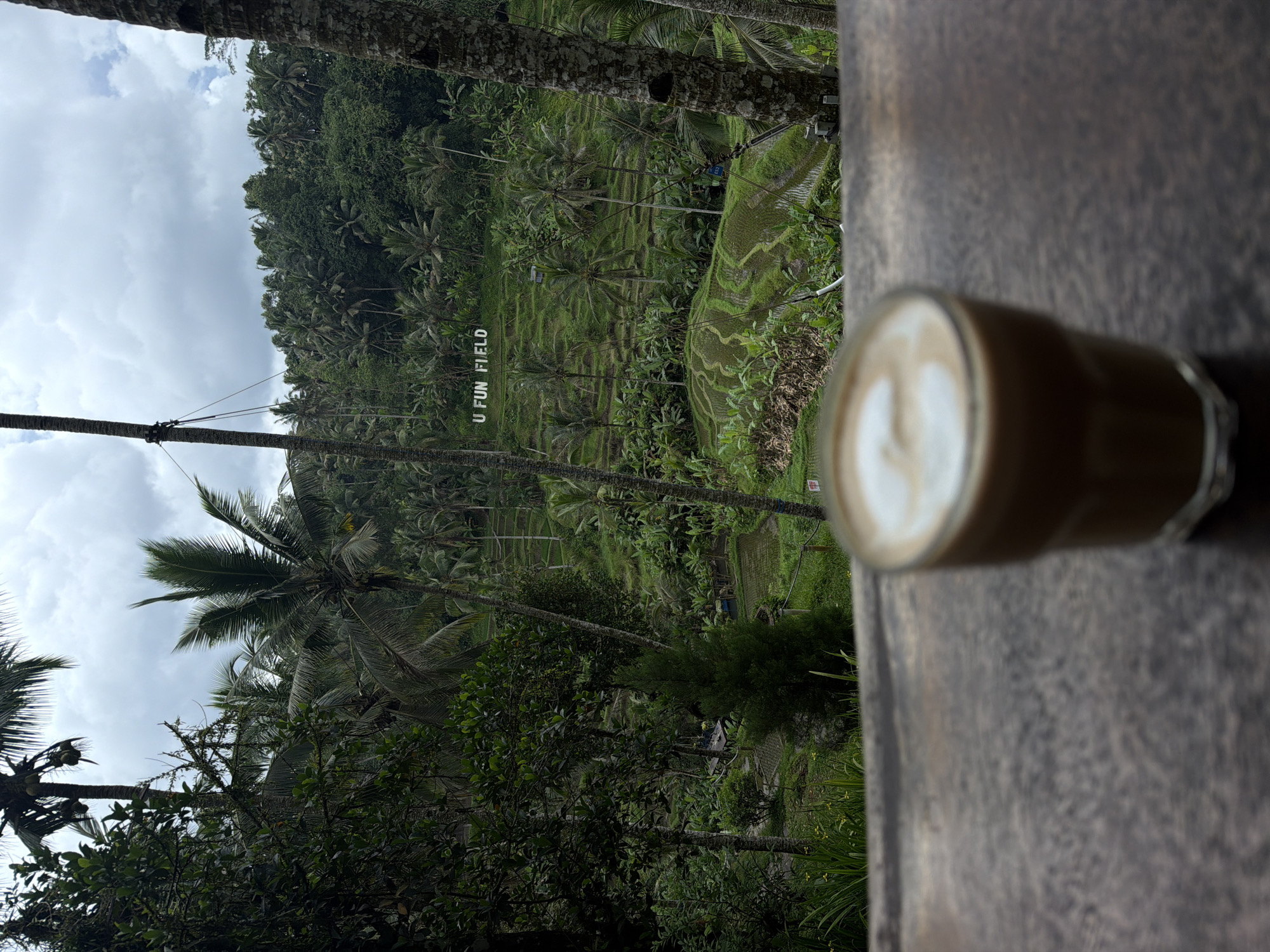 A vertical, eye-level shot shows a cappuccino in a glass in the foreground on a wooden surface. The background reveals lush rice paddies with "U FUN FIELD" spelled out in white letters on one of the paddies. Palm trees are interspersed throughout the landscape, with dense forest visible in the upper reaches of the shot. The sky is cloudy. The scene is situated in Tegal Suci, Indonesia.