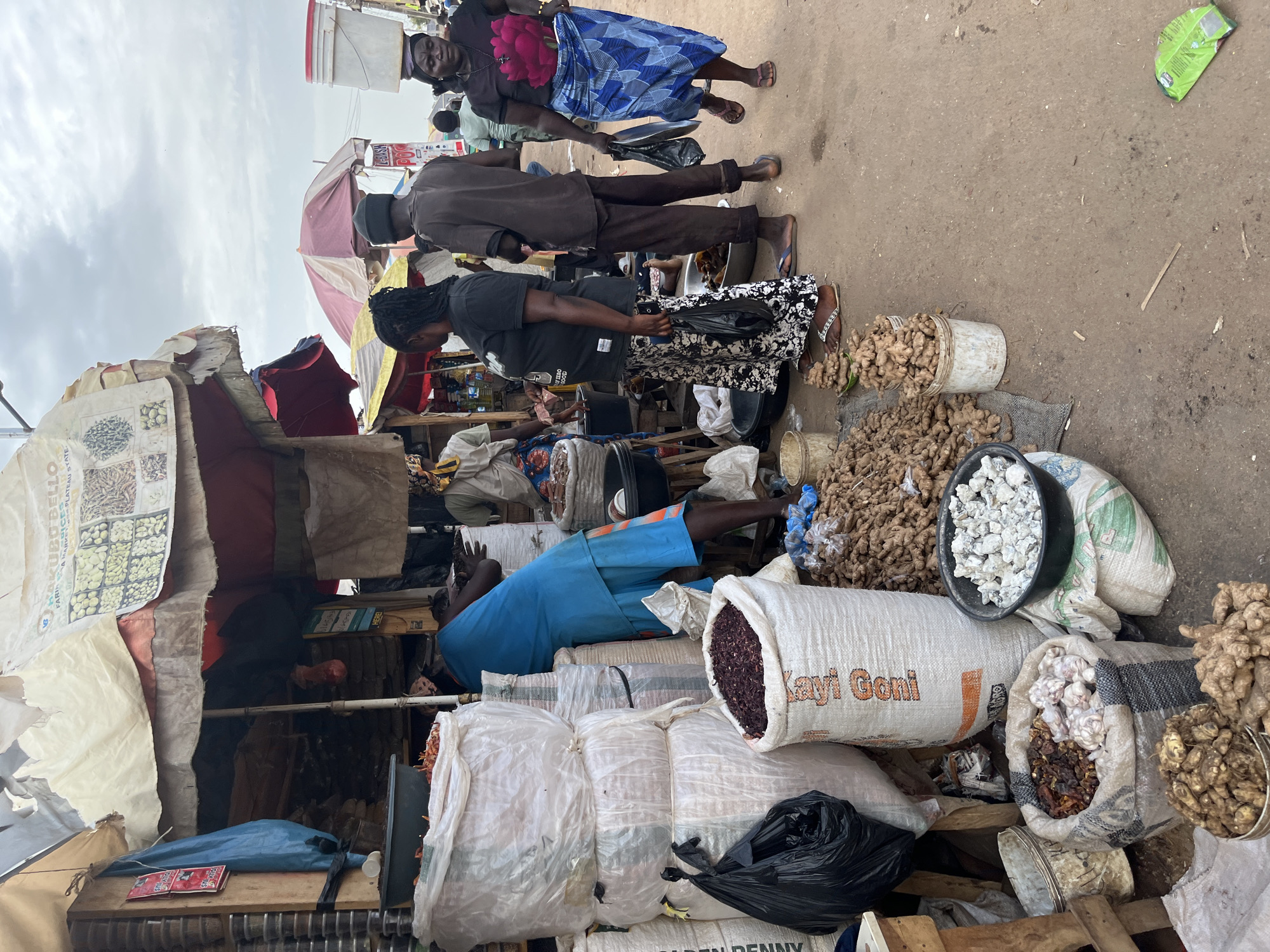 The image depicts a bustling market scene in Rafin Par, Nigeria, likely in the late morning or early afternoon given the bright, overcast sky. Several people are engaged in commercial activities, with some appearing to be vendors and others customers.
In the foreground, a man in blue shorts and a blue shirt is lying down amidst a large pile of white sacks, some of which appear to contain grains or other food items. One large sack, partially visible, has text that reads "KAYI GONI". Adjacent to this are several more sacks, including one filled with dried red chilies and another containing heads of garlic. Piled to the right are large quantities of ginger roots, some in buckets and some loose on the ground.
In the middle ground, a woman in a black t-shirt and a patterned skirt is standing, holding a black plastic bag, and looking down at items on a stall. Behind her, a man in a brown shirt and trousers stands next to a stall displaying various goods. Further back, two women are visible. One is wearing a blue and white patterned skirt and a pink floral top, and the other is in a dark headscarf and dark clothing. They appear to be interacting with each other.
The setting is an outdoor market with stalls constructed from various materials, including corrugated metal and tarps. Umbrellas provide shade in some areas. The ground is dirt and appears well-trodden. The overall impression is one of vibrant commerce and daily life in a Nigerian marketplace.