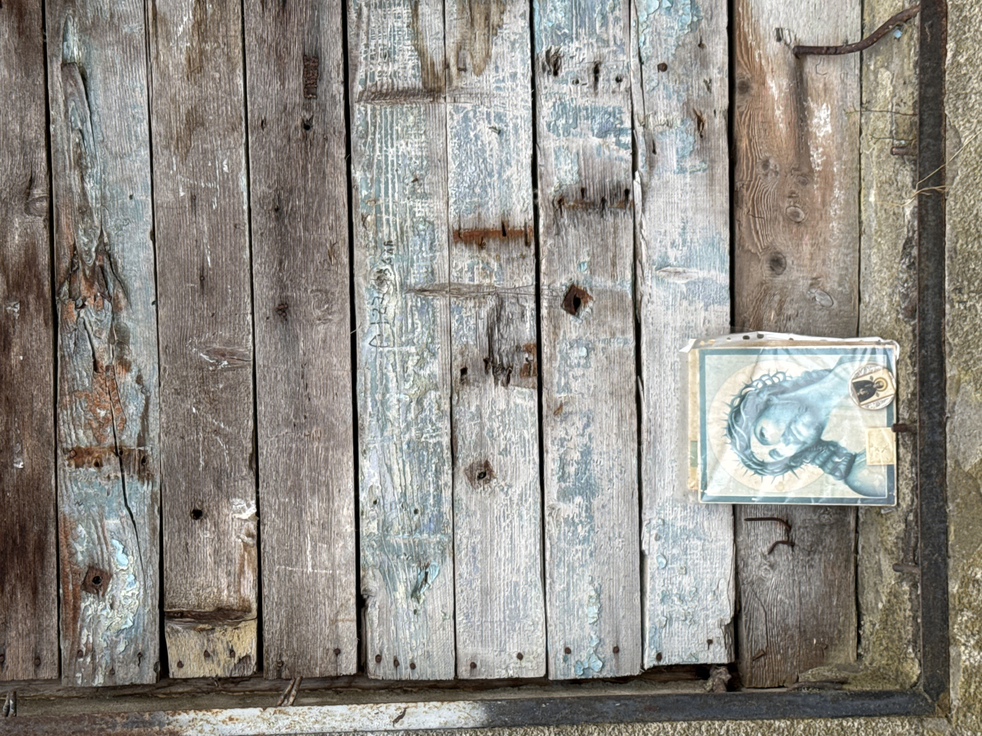 The image shows a close-up of a weathered wooden wall in Sochi, Russia. The wall is made of horizontal planks, some of which are painted a peeling light blue and others are bare wood with visible grain and knots. The planks show signs of age and exposure to the elements, with rust stains and cracks apparent.
In the lower right corner of the frame, a small, framed image of Jesus Christ is affixed to the wooden wall. The image depicts Jesus from the shoulders up, with a halo around his head and a crown of thorns. He is rendered in blue tones. Below the main image, there are two smaller rectangular elements, one appearing to be a yellow sticker and the other a dark circular object with some emblem. The framing of the image is slightly askew.
To the left of the framed image, a vertical rusted metal beam runs down the side of the wall, suggesting this might be part of a gate, fence, or building exterior. The ground beneath the wall appears to be rough, possibly concrete or stone, and there are some dried bits of grass or weeds. The overall impression is one of age, neglect, and a touch of folk art or personal devotion.