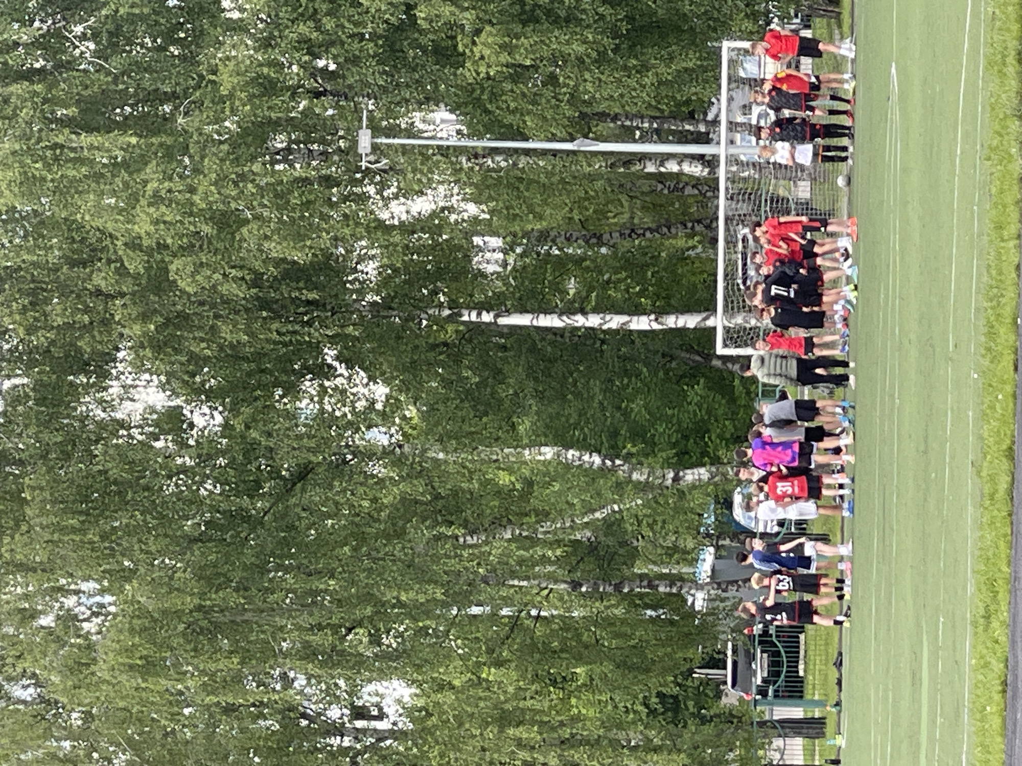 The image shows a soccer field with a group of people standing near a goalpost. The players are lined up along the edge of the field, facing the goal, on the border of grass. The people are wearing a variety of colors. A line of trees stands beside the field, with green foliage and white bark. A goalpost with netting is also on the field. The background consists of a dense layer of trees. The location is likely a park or sports complex in Moscow, Russia, but can not be confirmed from the image.