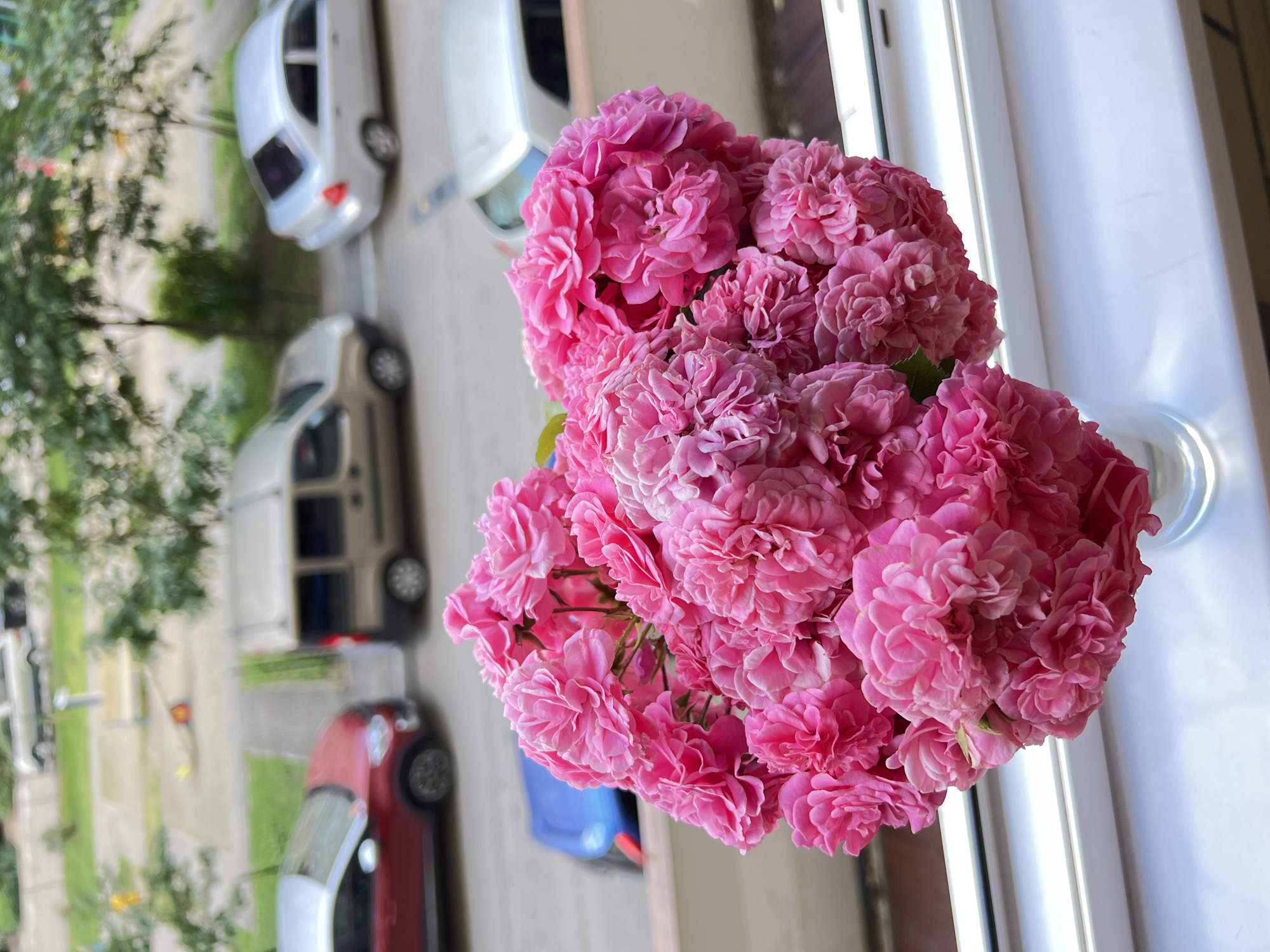 A cluster of vibrant pink roses in a clear glass vase sits on a white windowsill. In the background, out of focus, is a street scene with several cars parked and driving. The cars visible include a red SUV, a beige minivan, a silver sedan, and a blue car. Trees and buildings line the street, suggesting an urban environment. The image appears to be taken from a slightly elevated perspective, looking down on the street. The overall impression is of a domestic scene juxtaposed with an everyday urban setting. It is impossible to determine the exact location within Krasnodar, Russia, from the visual information provided.