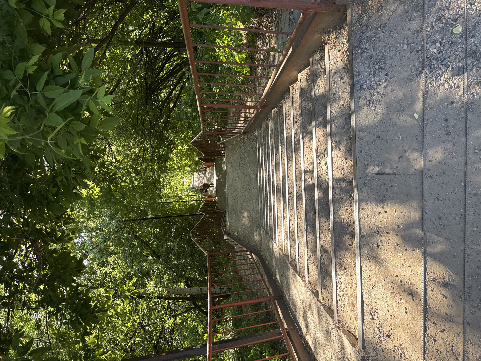 A high-angle view captures a lengthy concrete staircase with red metal railings, descending amidst lush greenery. The steps are illuminated by alternating bands of sunlight and shadow, enhancing their texture and form. The surrounding environment consists of verdant trees, creating a partial canopy above the staircase. At the bottom of the stairs, two people are visible, appearing as small figures in the distance. This image is located in Izhevsk, Russia.