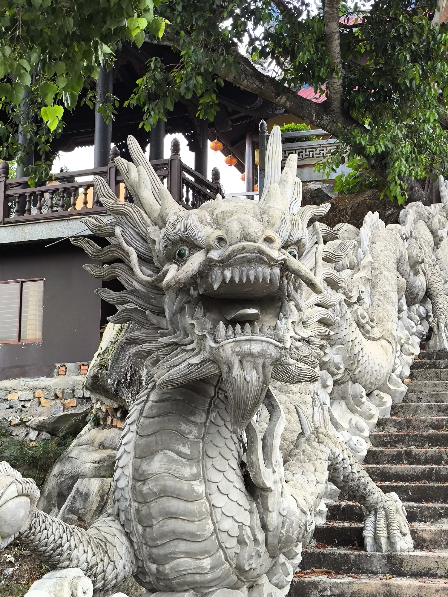 This media file features a close-up, eye-level shot of a large, intricately carved stone dragon statue. The dragon is positioned in the foreground, dominating the frame with its open mouth, sharp teeth, and green eyes. Its scaly body is rendered in detail, and it appears to be coiled and positioned as if guarding or leading up a set of stairs.
Behind the dragon, a stone staircase ascends, also adorned with smaller, similarly carved dragon figures that follow the railing. The stairs are weathered and have some fallen leaves scattered on them.
To the left of the dragon, a dark-colored building with a window featuring horizontal blinds is visible. The building is constructed with stone and brick elements. Above the building and the dragon, lush green foliage from a large tree hangs over the scene, its branches and leaves partially obscuring a traditional wooden structure with a multi-tiered roof and ornate railings. Red lanterns are visible hanging from this structure, suggesting a cultural or religious setting. The overall scene conveys a sense of tradition and artistic craftsmanship.
The time of day appears to be daytime, with natural light illuminating the scene. The weather seems overcast or the lighting is diffused, as there are no harsh shadows. The location is hinted at by the architectural style and the presence of dragon motifs, often associated with East Asian cultures, and further specified as Bac Nha Trang Ward, Vietnam. No visible text is present in the image.