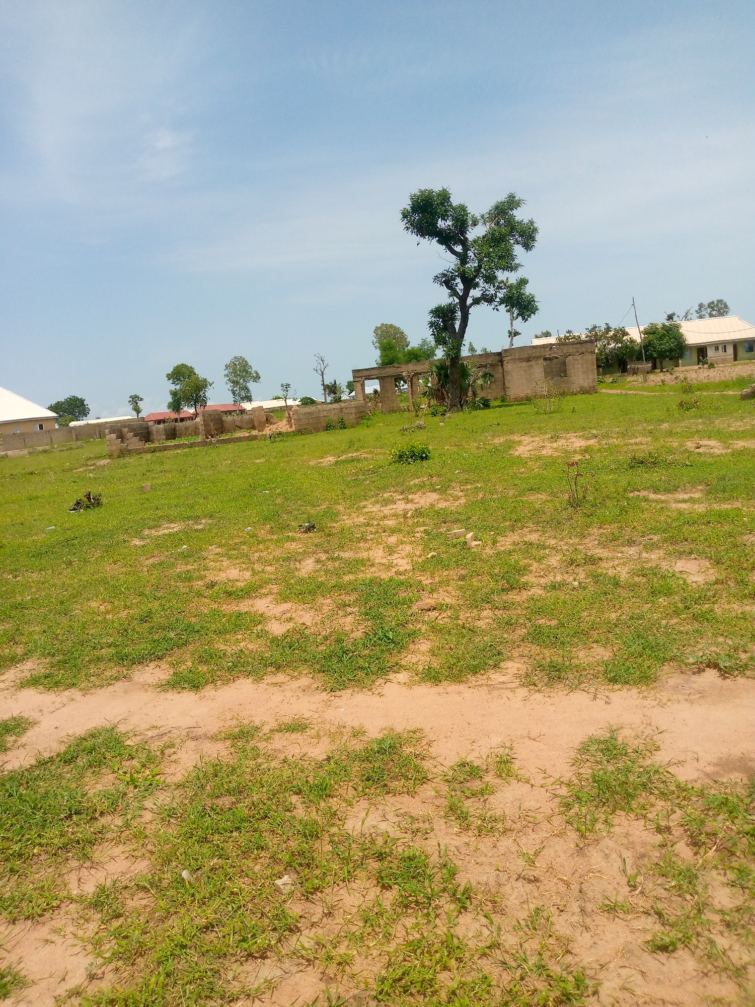 The image depicts an outdoor scene in Jauro Yinu, Nigeria. In the foreground, a dirt path runs diagonally across a grassy area. The middle ground features a partially constructed building made of concrete blocks. A large tree with sparse foliage stands to the left of the building. In the background, several buildings with light-colored roofs and walls are visible, surrounded by more trees. The sky is clear and blue with a few wispy clouds. The overall impression is one of a semi-developed area with ongoing construction.