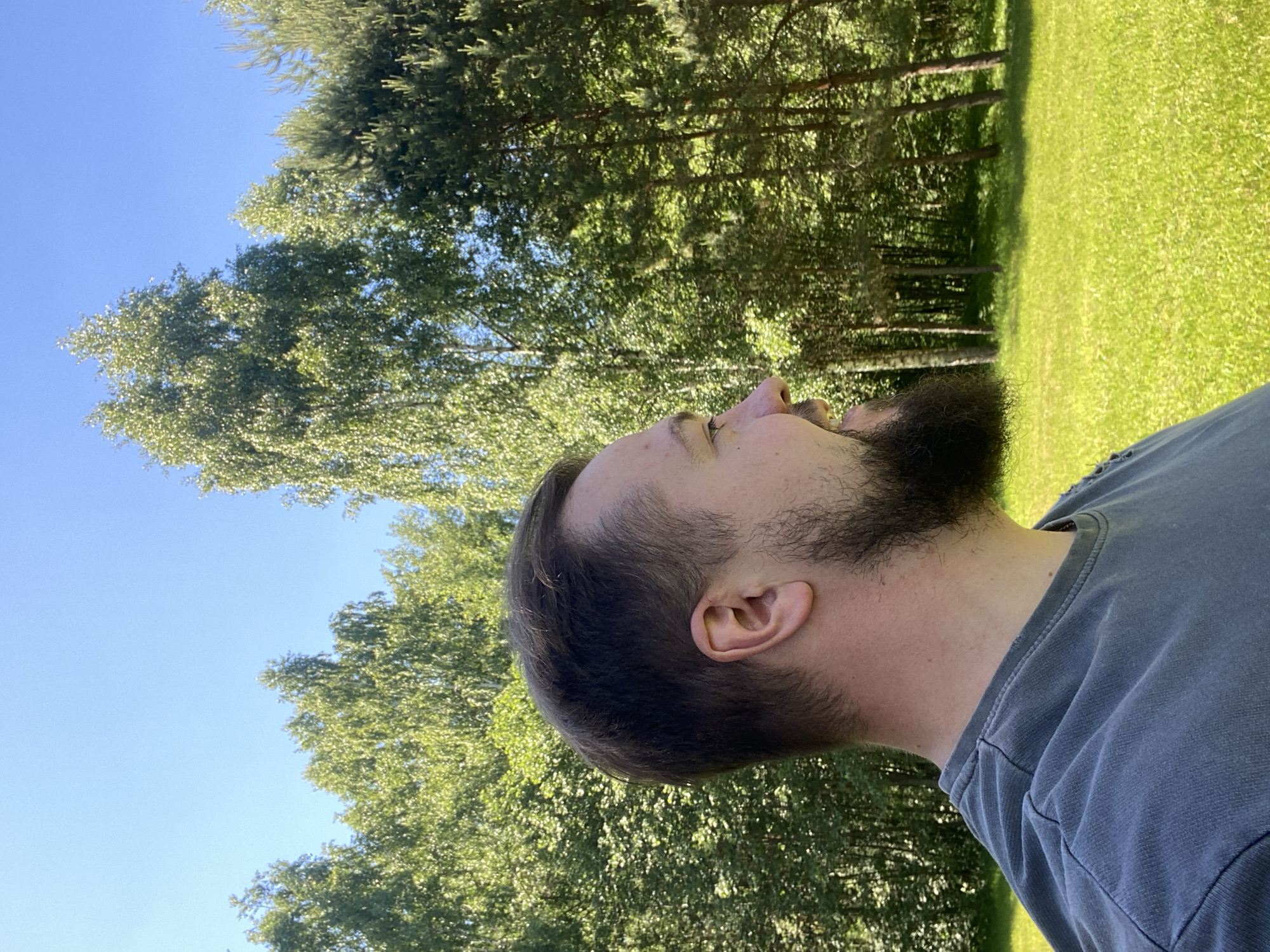 This image depicts an outdoor scene in Копнино, Russia, on a clear, sunny day. The primary subject is a male, presented in profile, facing towards the right side of the frame. He has short, dark brown hair and a full, neatly trimmed dark brown beard. His visible ear is light-skinned, and he exhibits a slight smile or smirk. He is wearing a dark grey, short-sleeved t-shirt with visible seams on the shoulder.
The background consists of a dense treeline, primarily composed of vibrant green deciduous trees (appearing like birches) mixed with darker green coniferous trees (pines) on the far right. These trees fill the middle ground, extending upwards. Above the trees, the sky is a uniform, clear light blue, indicative of a cloudless day. Below the treeline, a brightly lit expanse of well-maintained, lush green grass is visible. Strong, natural sunlight illuminates the entire scene, casting bright highlights on the foliage and grass, creating a high-contrast and vibrant appearance.