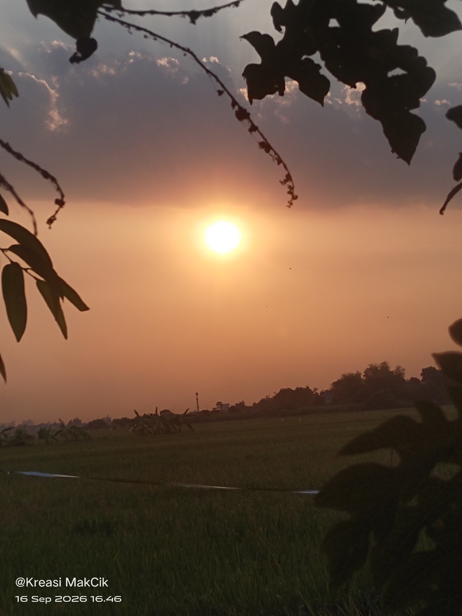 The image depicts a sunset over a rural landscape in Sambungrejo, Indonesia. The sun, a bright orange orb, is low in the sky, casting a warm glow across the scene. Dark silhouettes of leaves and branches frame the top and right sides of the image, suggesting the perspective is from within vegetation. In the middle ground, a field of green crops, likely rice paddies, stretches towards a treeline. Distant trees and some man-made structures, including what appears to be a communication tower, are visible against the hazy horizon. A light blue strip runs horizontally across the field. The sky is a gradient of orange and gray, with wispy clouds. At the bottom left of the image, a watermark reads "@Kreasi MakCik 16 Sep 2026 16.46". There are no people or animals visible in the frame.