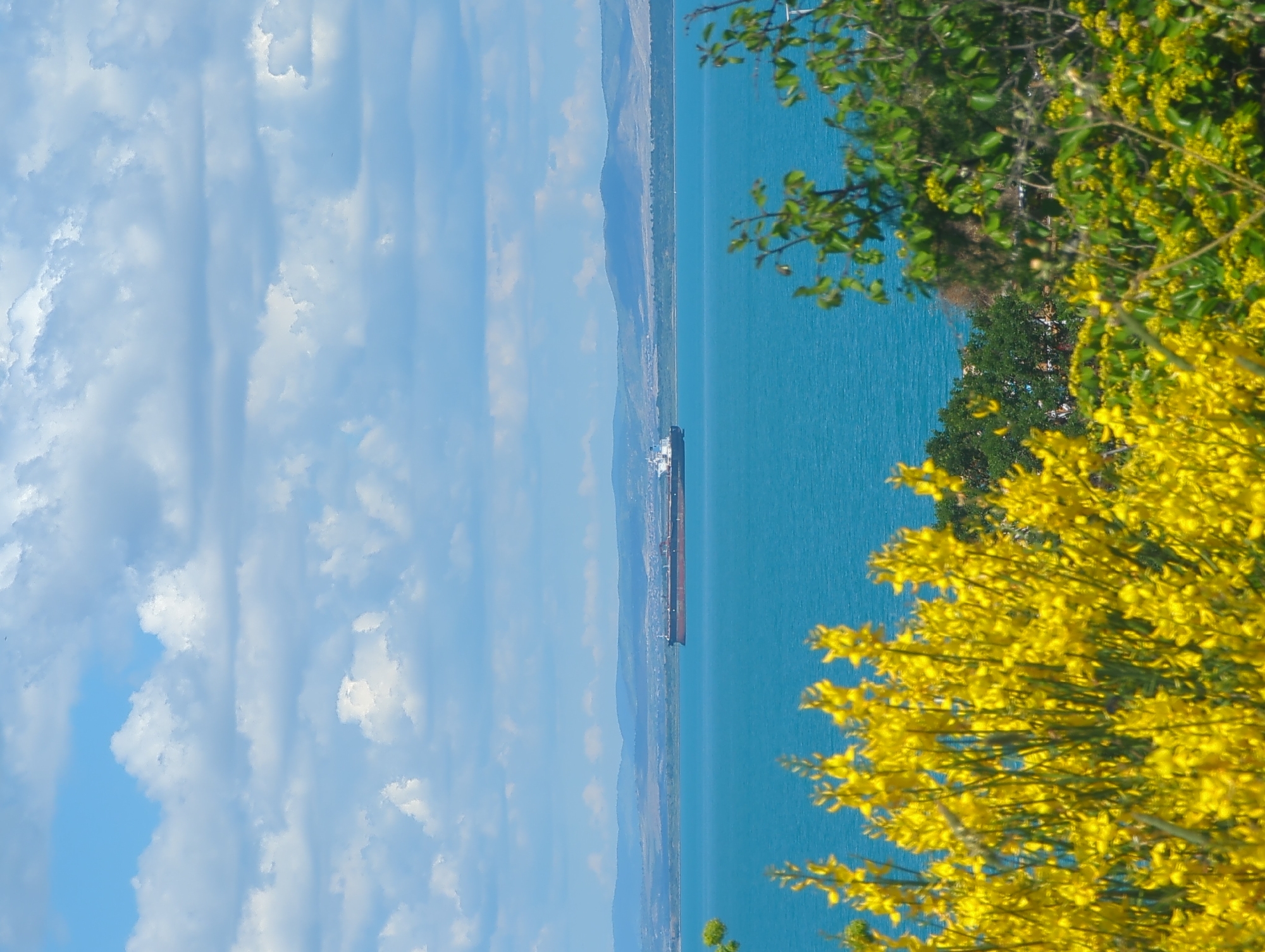 A scenic view shows a vast expanse of turquoise water under a partially cloudy blue sky. In the distance, a large cargo ship is visible navigating the sea, with a hazy landmass forming the horizon. The foreground is dominated by lush greenery, with vibrant yellow flowers in full bloom adding a splash of color. The image captures a serene natural landscape, possibly a coastal area, with a man-made element in the form of the ship.