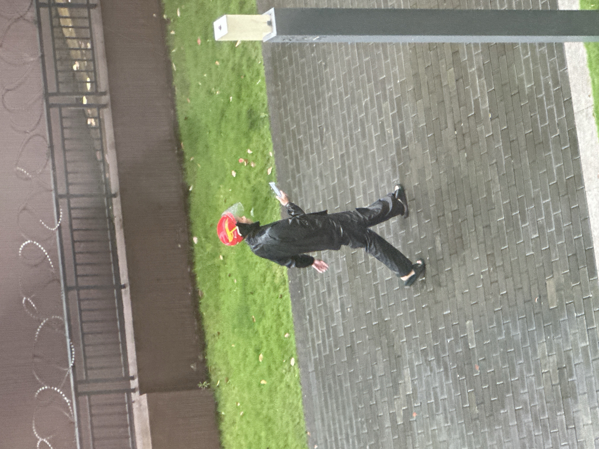 The image displays an outdoor scene in the Chongqing High-tech Zone, China, captured from an elevated viewpoint. A single individual is observed walking from left to right across a wet, grey brick-paved walkway. The person is attired in a black rain suit, comprising a jacket and trousers, and wears a red helmet with a clear visor and a yellow linear design on the side. In their right hand, the individual holds a light-colored smartphone, which they appear to be examining. Dark open-toed footwear is worn on their feet. Adjacent to the left side of the walkway is a verdant grass patch featuring scattered light brown and reddish fallen leaves. Behind the grassy area, a brown concrete wall supports a dark metal railing fence. Above the fence, several loops of reflective razor wire are installed. In the foreground on the right side of the walkway, a grey rectangular bollard or lamppost with a light-colored square top stands upright.