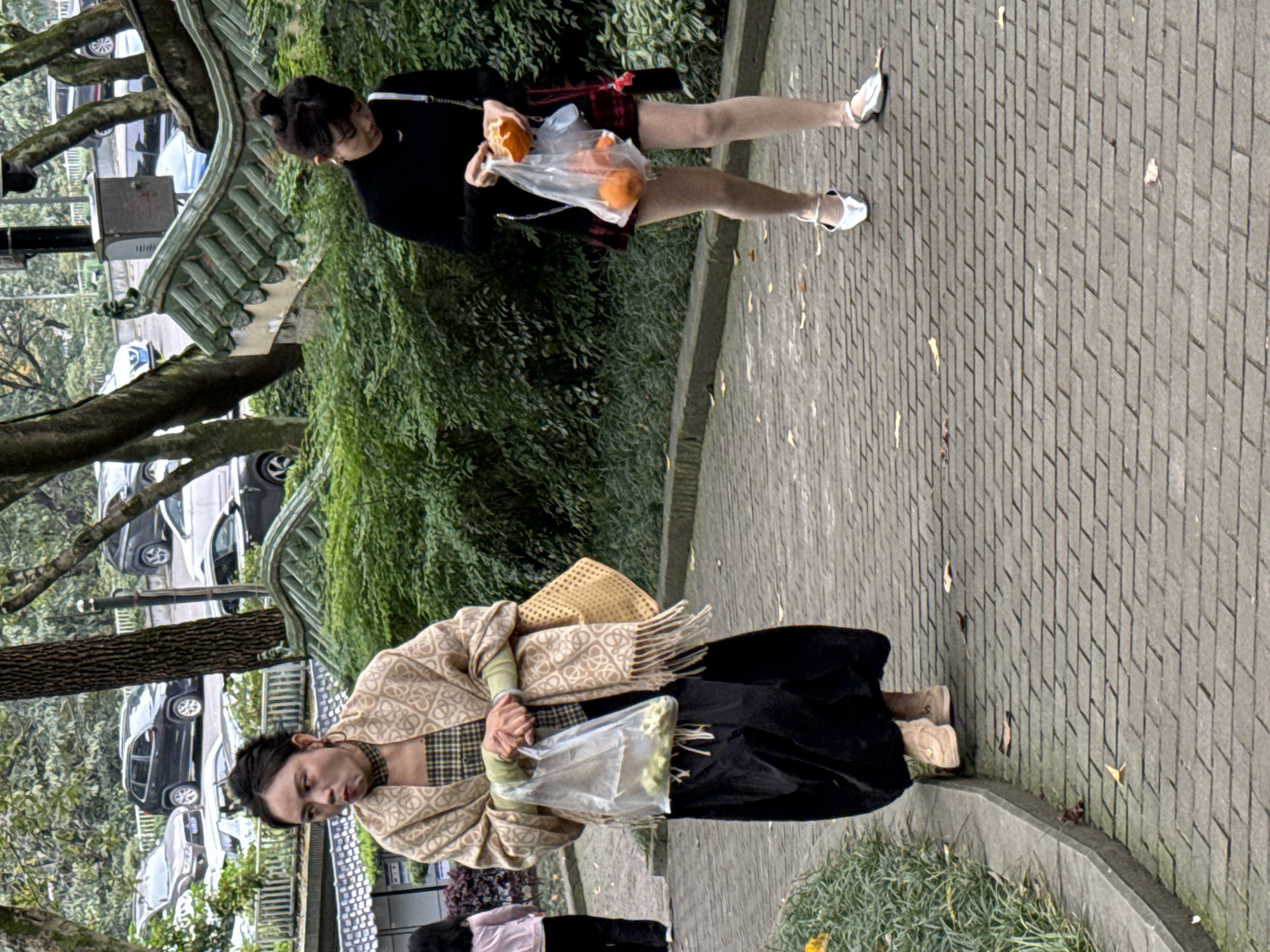 Two women stand on a brick walkway in Yuzhong District, China. One woman, wearing a black long-sleeved shirt, a red plaid skirt, and silver shoes, holds a plastic bag containing oranges. The other woman, dressed in a tan patterned shawl, a plaid shirt, and a long black skirt, carries a tan woven bag and a plastic bag with contents not easily visible. Lush green foliage is visible in the background, along with trees, a traditional green-tiled structure, and parked cars in the distance.