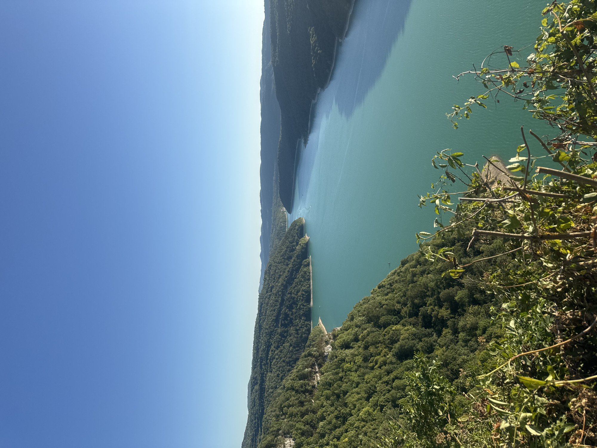 This is a high-angle, landscape photograph taken from a viewpoint overlooking a vast, turquoise-colored body of water, likely a reservoir, nestled within a verdant, mountainous region. The water is calm, reflecting the clear blue sky. The surrounding hills are densely covered with lush green trees, creating a rich tapestry of foliage that slopes down towards the water's edge. In the foreground, the branches of some dry bushes and green leaves are visible, framing the view and suggesting the photograph was taken from a natural overlook. The sky is a brilliant, cloudless blue, dominating the upper portion of the image and indicating a bright, sunny day. The scene evokes a sense of natural beauty and tranquility. The location is the Lac de Vouglans in the Jura Mountains, near the town of Moirans-en-Montagne, France. There are no people, animals, or man-made structures other than a few small boats visible on the water in the distance.