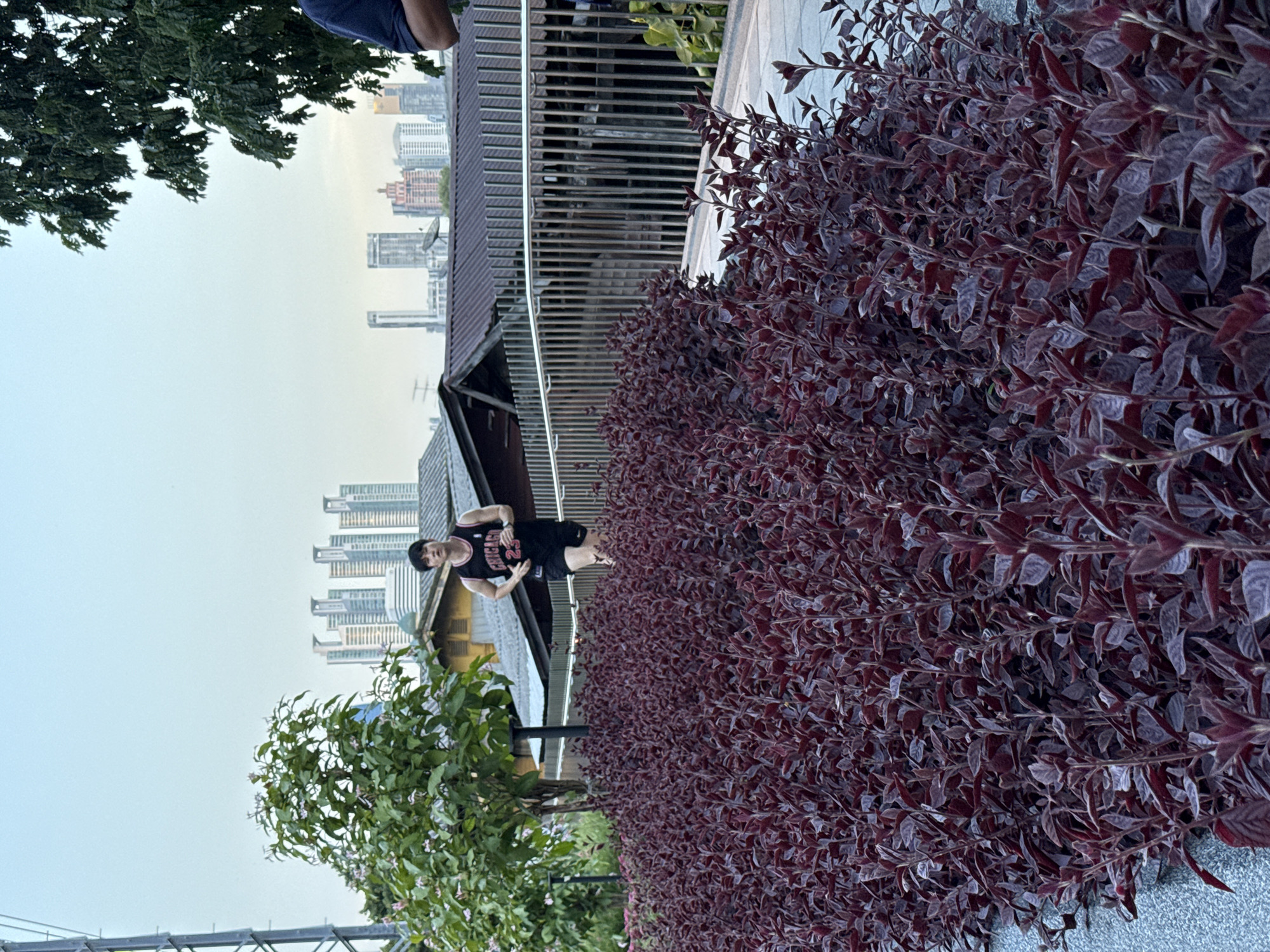 A young man of East Asian descent, wearing a black tank top with "CHICAGO 23" printed on it and black athletic shorts, is jogging on a paved pathway. He is in the middle ground of the image, to the left of the frame. The pathway is bordered by a dense planting of dark red-leafed bushes in the foreground and a metal railing to his right. Behind the railing is a low-slung building with a corrugated metal roof, and beyond that, a cluster of modern high-rise buildings forming a city skyline. To the far left of the image, a large metal structure, possibly a utility tower, is visible. The sky is overcast. The scene appears to be an urban park or public space in Bangkok, Thailand, given the architectural styles of the buildings and the vegetation.