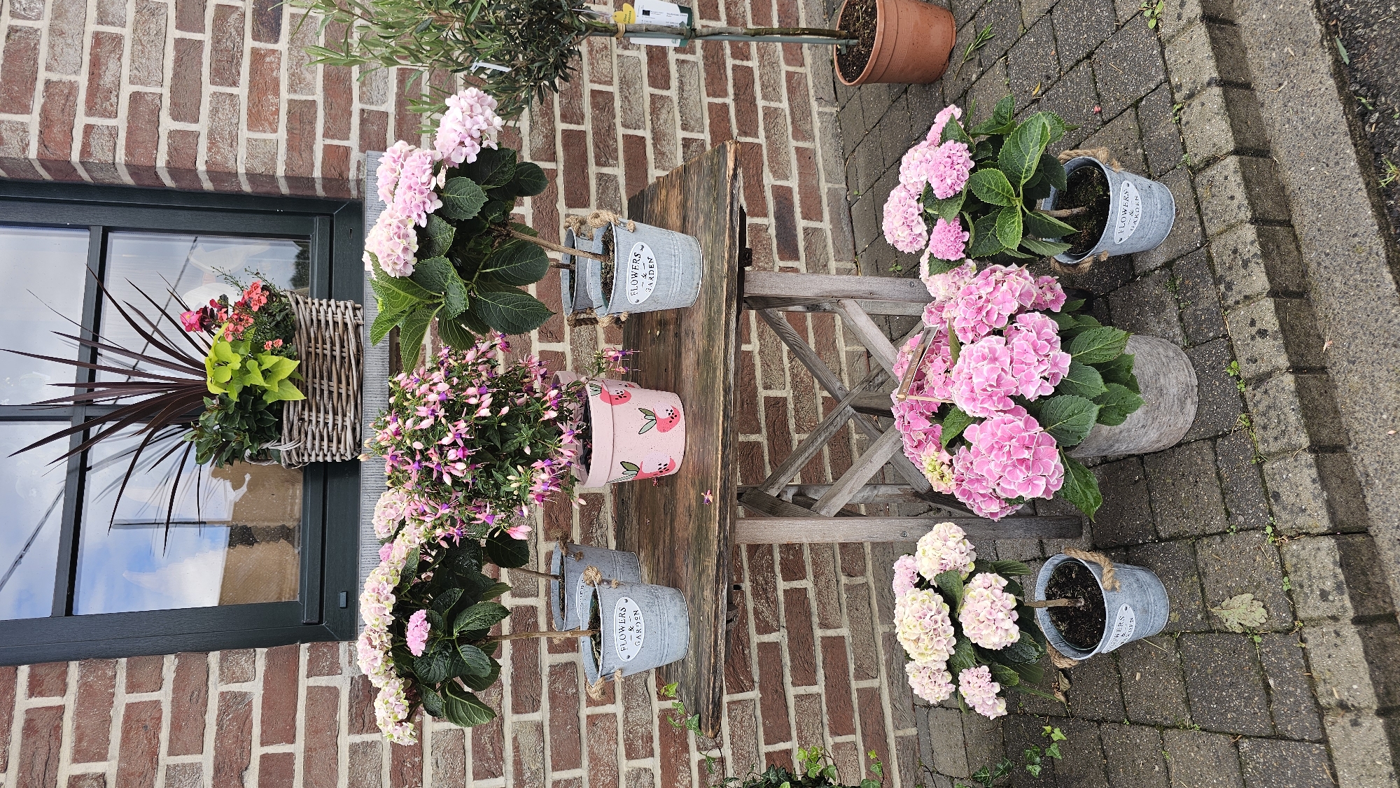 An outdoor scene captured in Boussu-lez-Walcourt, Belgium, displays a vibrant arrangement of potted plants on a patio beside a brick building, under soft, even daylight, suggesting an overcast day.
The foreground and right side feature several large hydrangeas with abundant pink and white blooms. One hydrangea is housed in a substantial, grey, textured pot, while another is in a smaller galvanized metal bucket with rope handles. This bucket, along with two others on a wooden table, is embossed with the text "FLOWERS & GARDEN."
A rustic, weathered wooden table with crossed legs is centrally positioned against a reddish-brown brick wall. On this table, in addition to one of the "FLOWERS & GARDEN" buckets, rests a distinct pink pot decorated with red strawberry or fruit patterns, holding a plant with numerous small purple-pink flowers, likely a fuchsia.
To the left, a dark-framed window is set into the brick wall. A woven wicker hanging basket, affixed below the window, overflows with a varied display of foliage and flowers, including a tall, dark-leafed plant, bright lime-green leaves, and small red-pink blooms. Another hydrangea in a galvanized bucket is visible above the table, and further back, a small tree in a terracotta pot can be partially seen.
The ground consists of grey paving stones, complementing the overall rustic garden aesthetic. The scene presents a colorful and well-maintained outdoor space.
