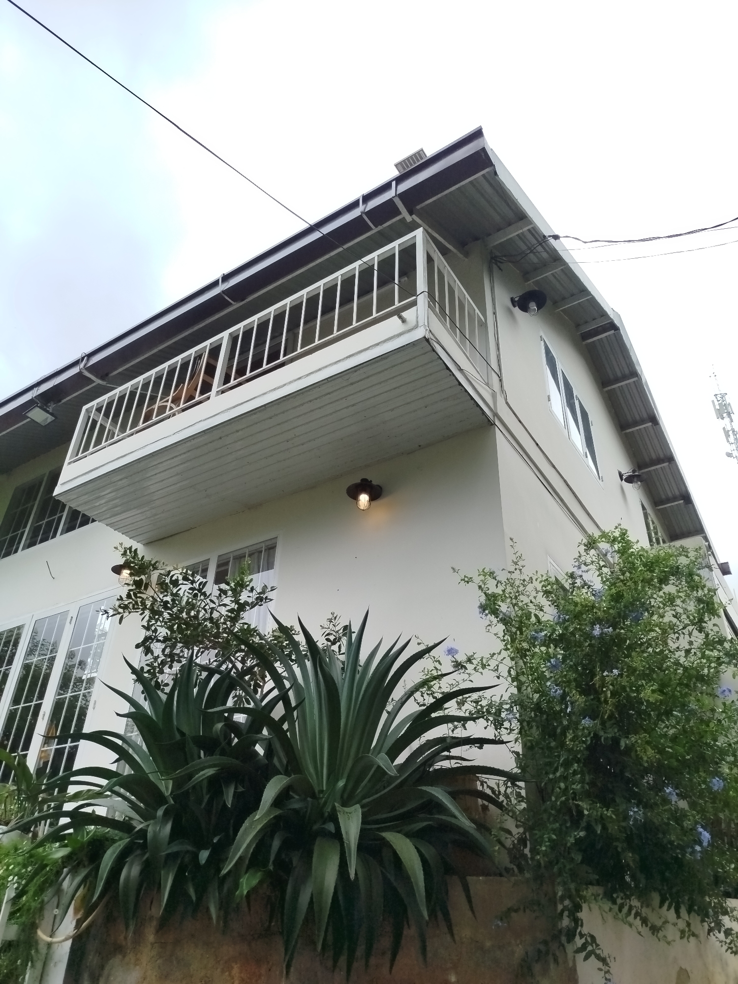 The image shows a low-angle view of the exterior of a light-colored building with a prominent balcony. The building has a metal roof with visible gutters and a white railing on the balcony. There are several windows visible on the building's facade, including large, multi-paned windows on the lower level. Outdoor lights are mounted on the exterior walls. In the foreground, there are lush green plants, including a large agave plant and a flowering bush with small blue flowers. The background shows an overcast sky and a distant cell tower. The scene is captured from the ground level, looking upwards towards the building and sky. The architectural style suggests a modern residential or commercial building. The overall impression is of a well-maintained property with attractive landscaping. The image does not contain any people or depict any specific actions or interactions.