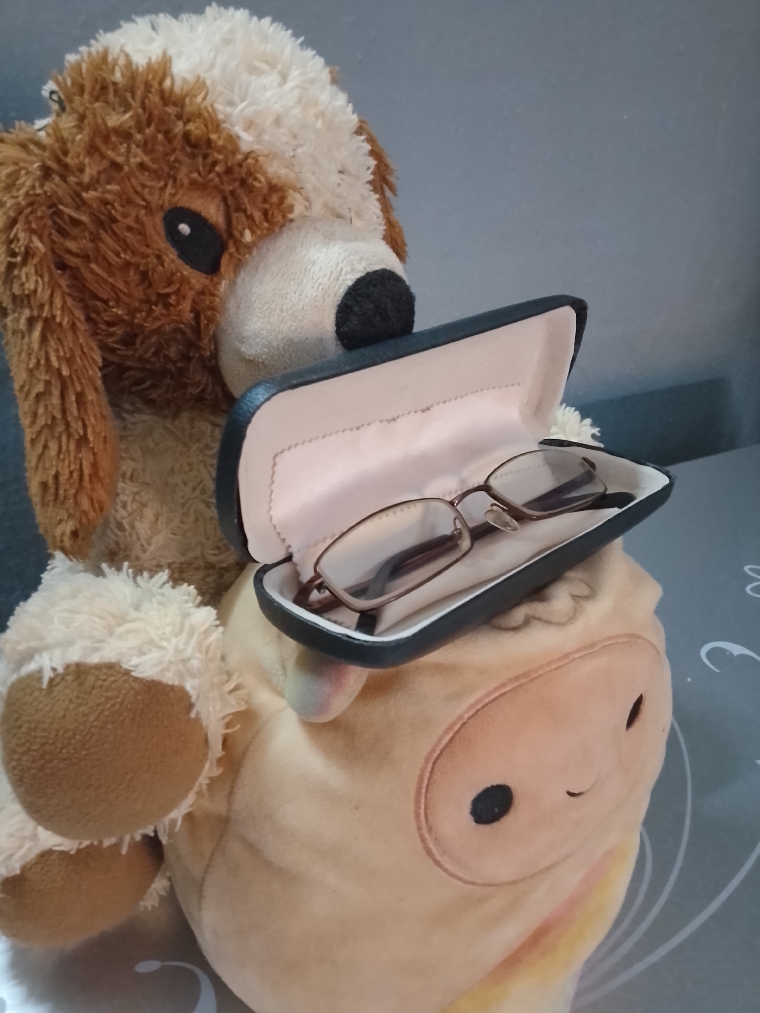 A stuffed brown and white dog sits behind a tan stuffed pig. A black eyeglasses case sits open on the head of the pig, revealing a pair of brown-rimmed eyeglasses inside. The background is a gray wall. A patterned gray surface is visible beneath the stuffed animals. There is no indication of the location being Yelwa, Nigeria.