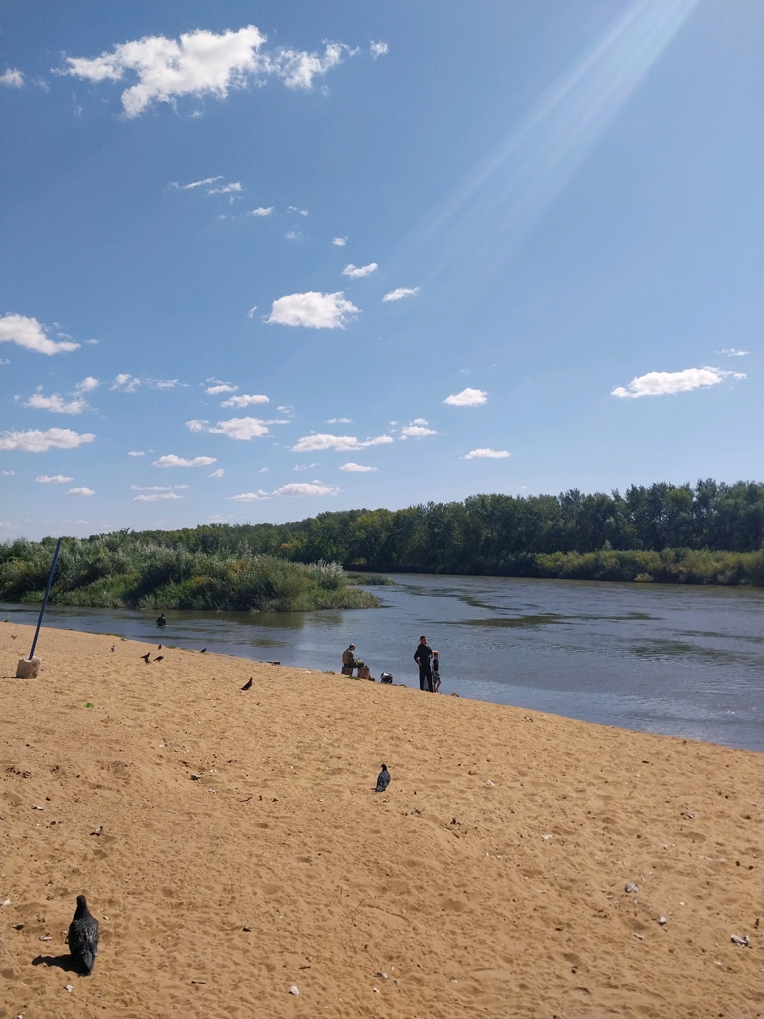 The image depicts a sandy beach along a wide river on a sunny day. The sky is blue with scattered white clouds, and sunlight streams from the upper right. The river, with its calm, reflective surface, flows from left to right, bordered by a dense line of green trees and foliage on the far bank. In the foreground, the sand is largely bare, with a few scattered pieces of debris. Several pigeons are visible on the sand. A small sandy island with vegetation is situated in the middle of the river.
On the beach, several people are present. Near the river's edge, a group of individuals are gathered. One person appears to be standing in the water. Further to the right, a person is seated on the sand. In the foreground, a pigeon stands in the lower left corner of the image. A blue pole on a concrete base is positioned on the left side of the beach.
This scene is located on the embankment of the Ural River in Orenburg, Russia, a common recreational area for locals.