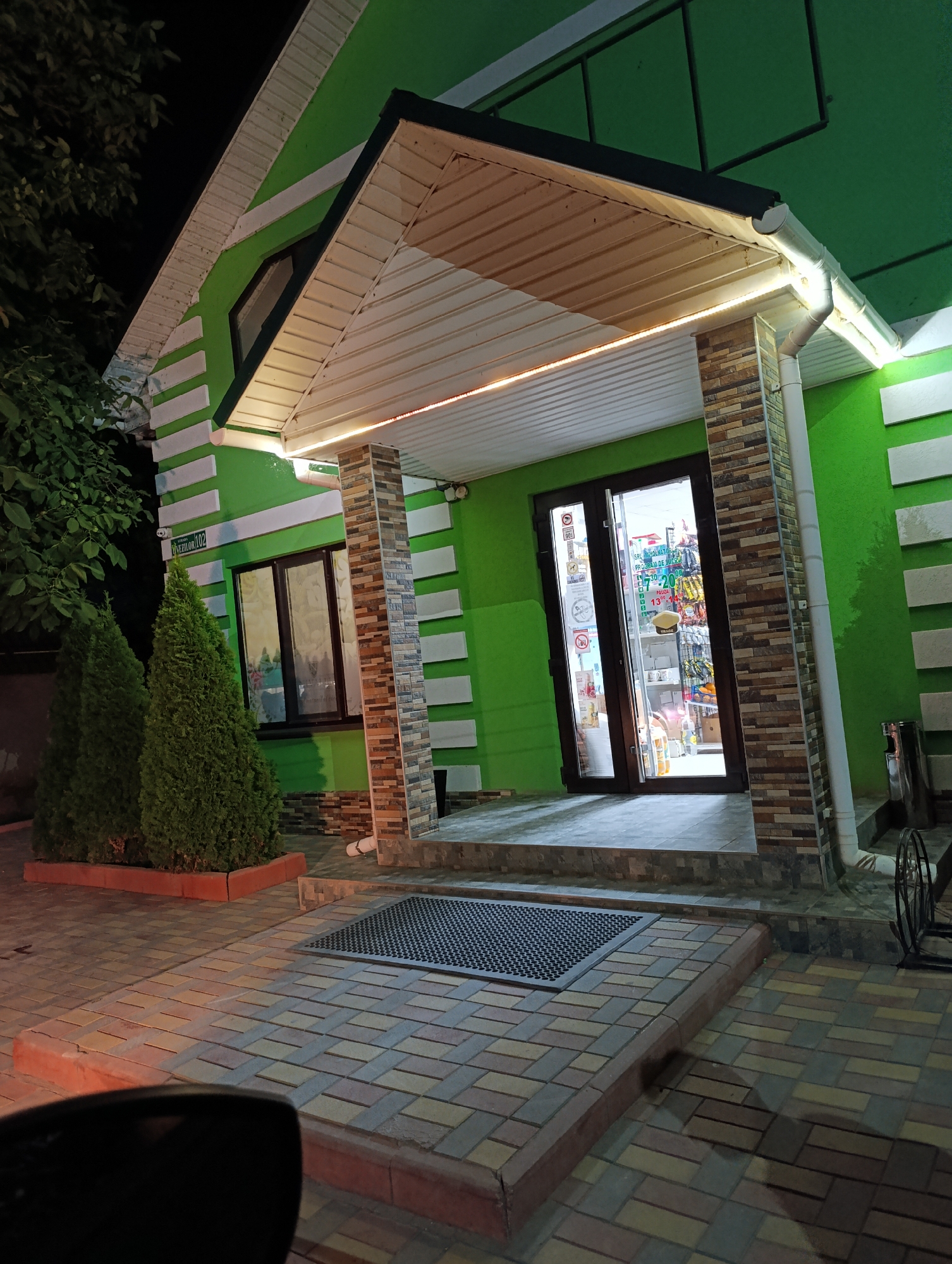 This is a nighttime exterior shot of a small shop in Molovata Nouă, Moldova. The building is painted bright green with white decorative bands. A covered entryway features stone-clad pillars and is illuminated by a string of warm LED lights. Double glass doors lead into the brightly lit interior of the shop, where shelves stocked with various goods are visible. Two conical evergreen trees flank the entrance, and the ground is paved with interlocking bricks in shades of red, yellow, and gray. A black metal grate is positioned on the walkway leading to the entrance. A street sign is visible on the building wall, reading "Vizzilori 102".