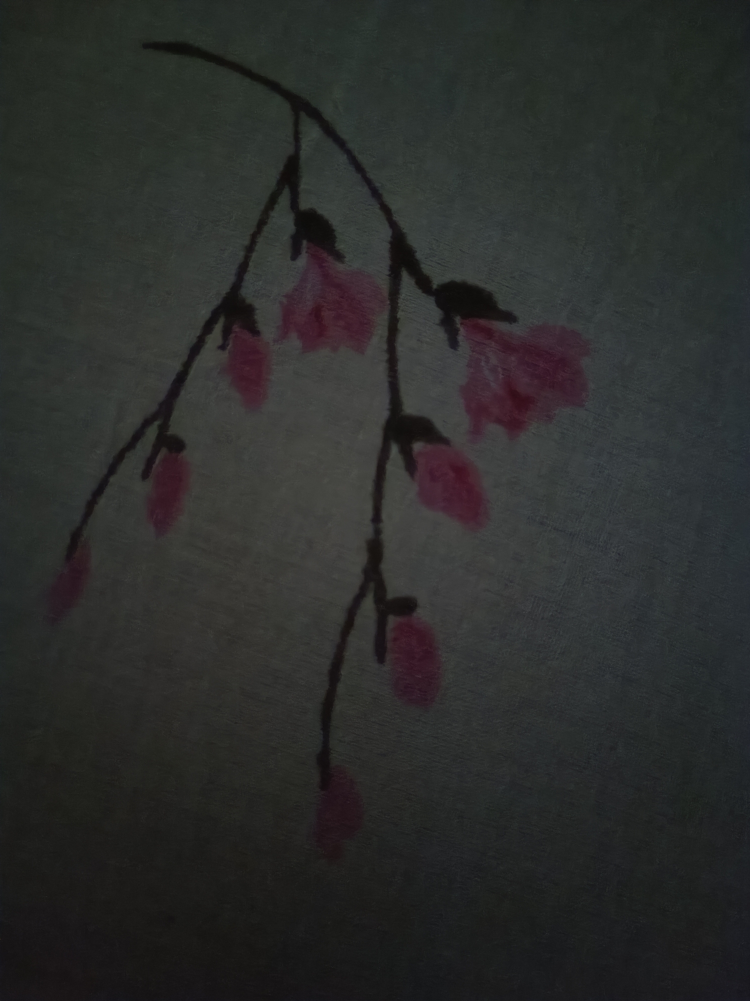 A dark, grainy image depicts a close-up of a painted or embroidered branch with pink flowers against a greyish-green background. The branch is thin and dark, curving from the upper left towards the center and bottom of the frame. Several pink, somewhat abstract floral shapes are attached to the branch at various points. The flowers appear to be in different stages of bloom, with some more tightly formed and others more open. The background has a textured appearance, suggesting fabric or a painted canvas. The lighting is dim, casting the scene in shadow. The image does not provide any information about the city of Ochiul Alb, Moldova.