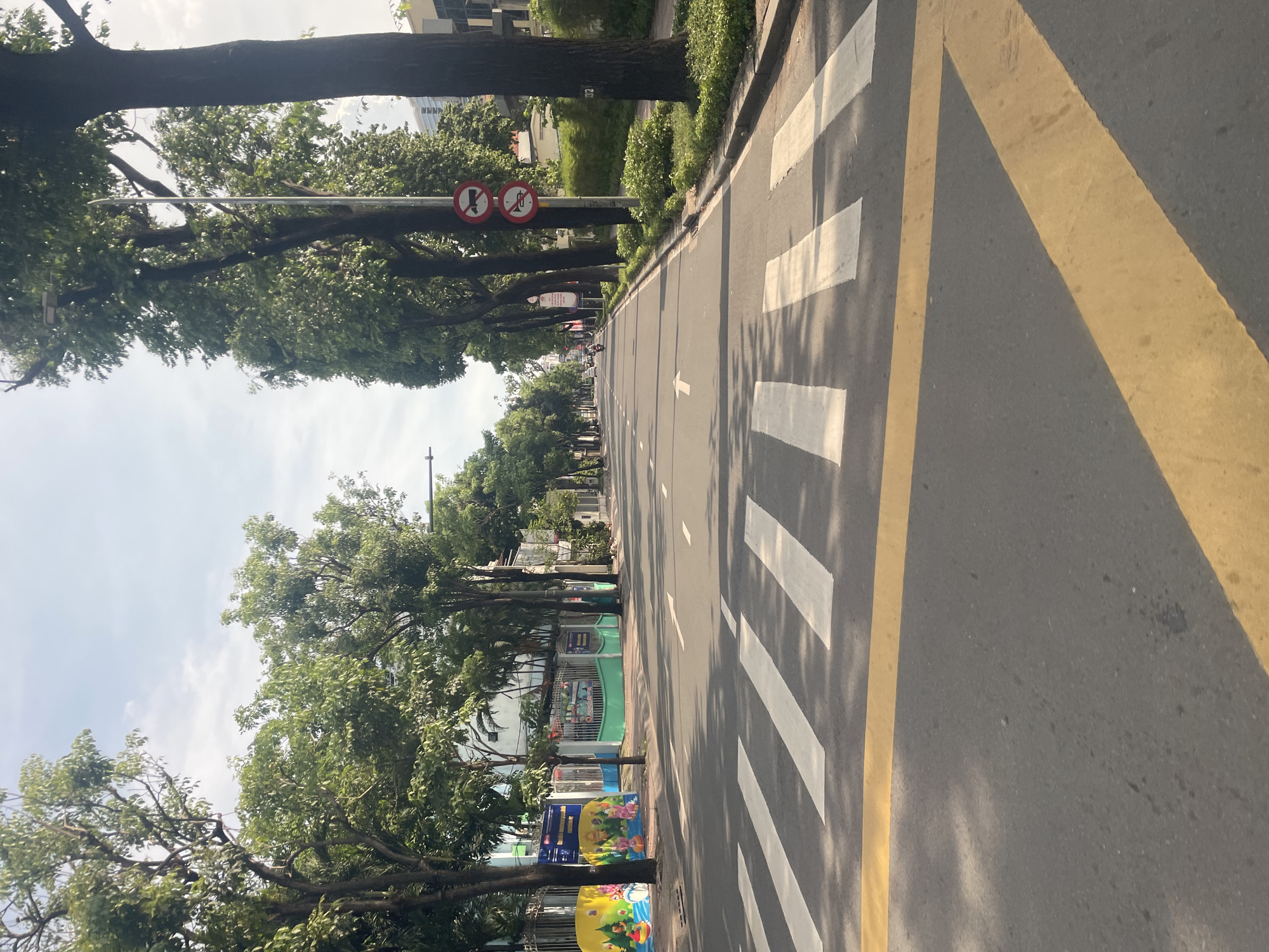 A wide, paved road in Thủ Đức City, Vietnam, is lined with mature trees on both sides, casting dappled shadows on the asphalt. The road features a pedestrian crossing with alternating white and grey stripes, marked by a bold yellow line parallel to the crossing. Traffic lanes are indicated by white directional arrows. On the left side of the road, a low wall borders a property with colorful murals depicting cartoon characters. The right side of the road has a sidewalk lined with green bushes and trees, and a traffic signpost displaying two circular red and white signs, one indicating no entry for trucks and the other no honking. The sky is partly cloudy, with daylight illuminating the scene. A few vehicles are visible in the distance on the road.